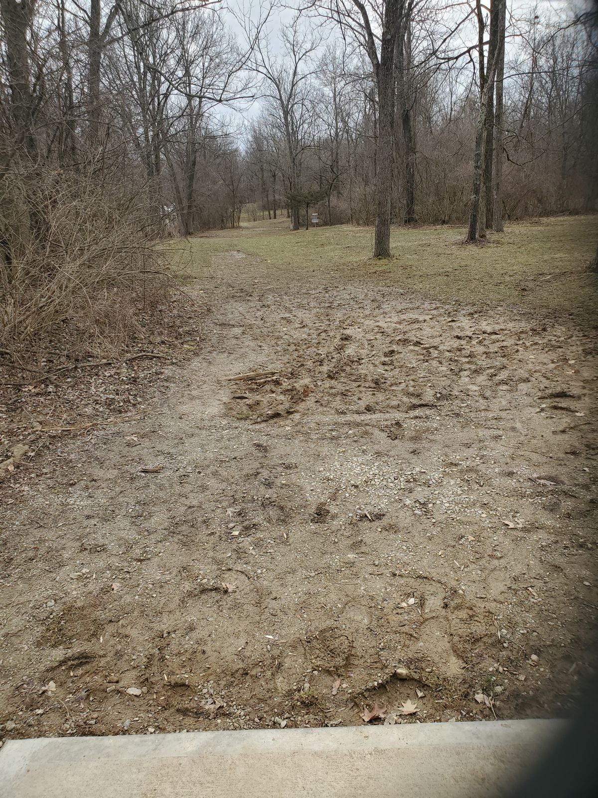 Hole 1 245ft