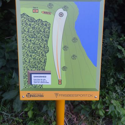 Vejen Disc Golf Bane Hul 3