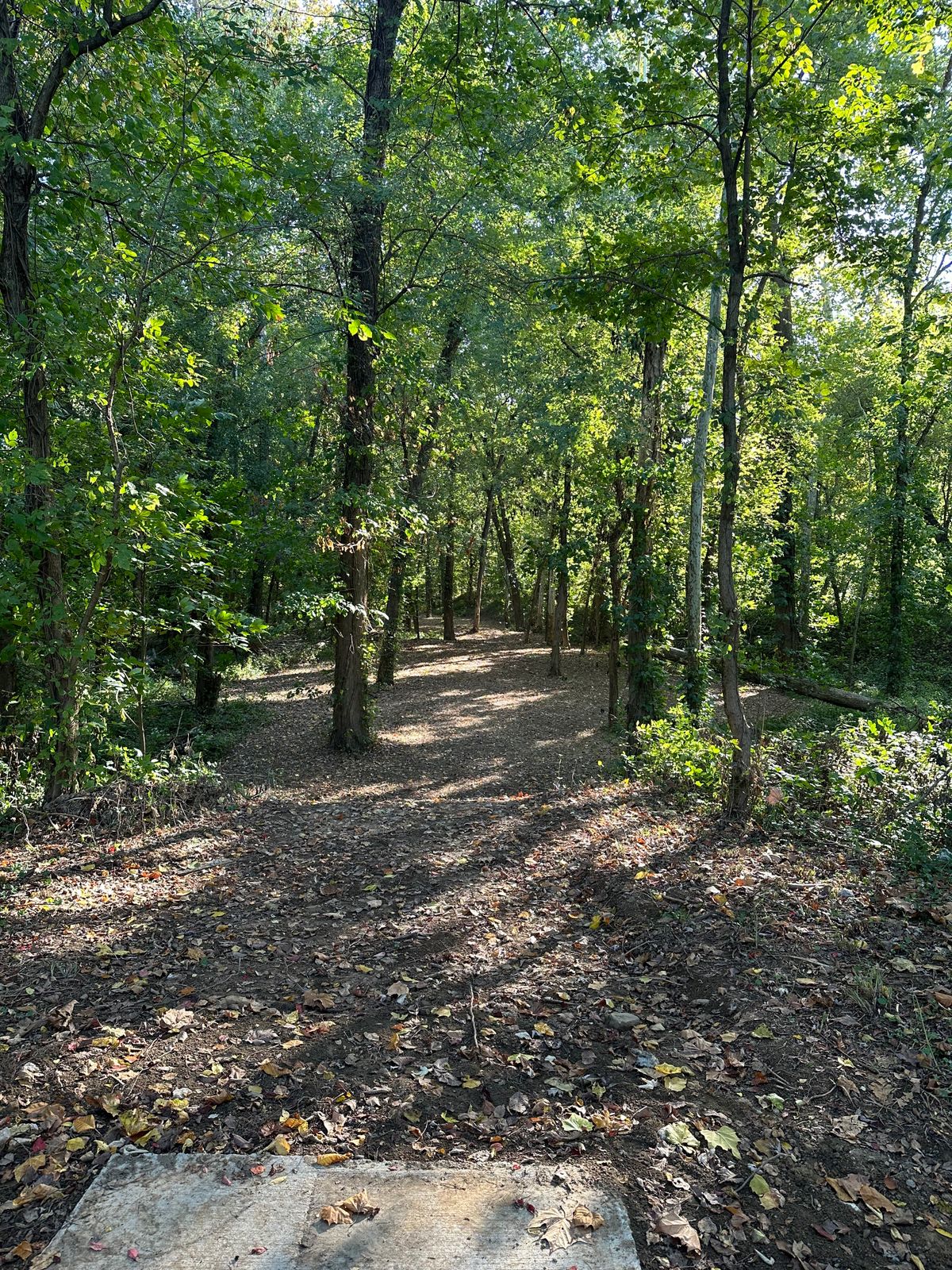 Hole 4