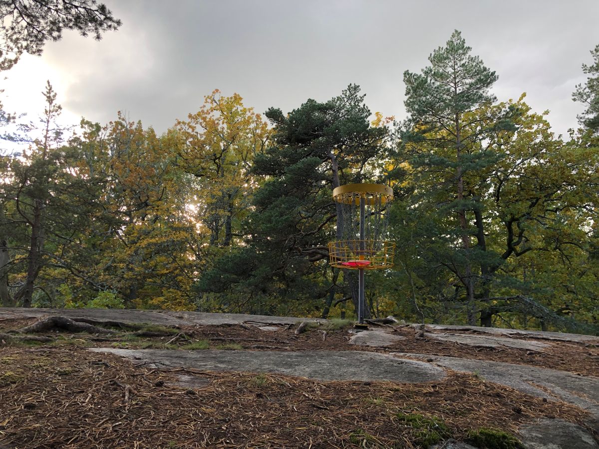 8a
