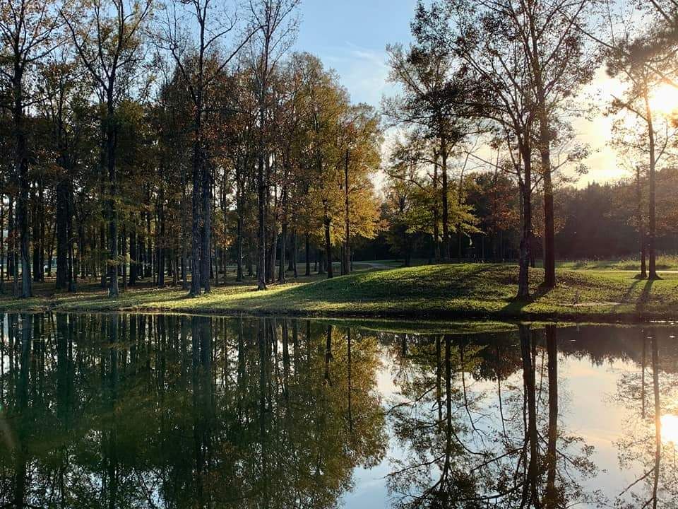 Looking across the pond from 1's fairway to 17's green