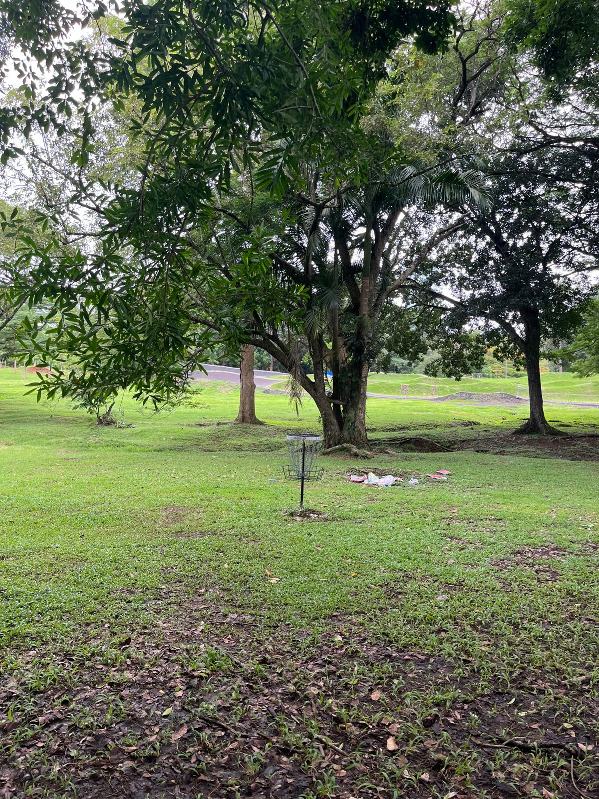 Hole 2 Basket