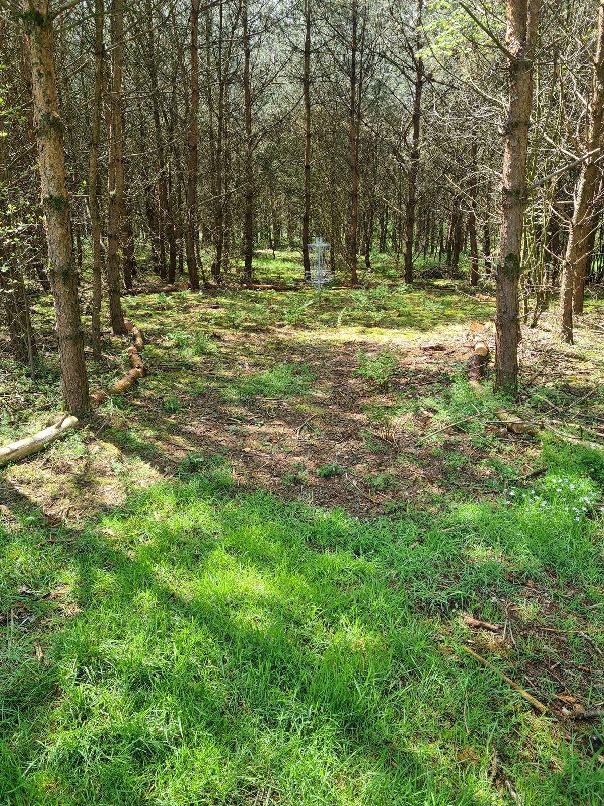 Basket hole 4