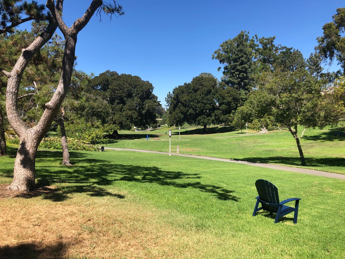 Tee 13 is just to the left of the light pole.