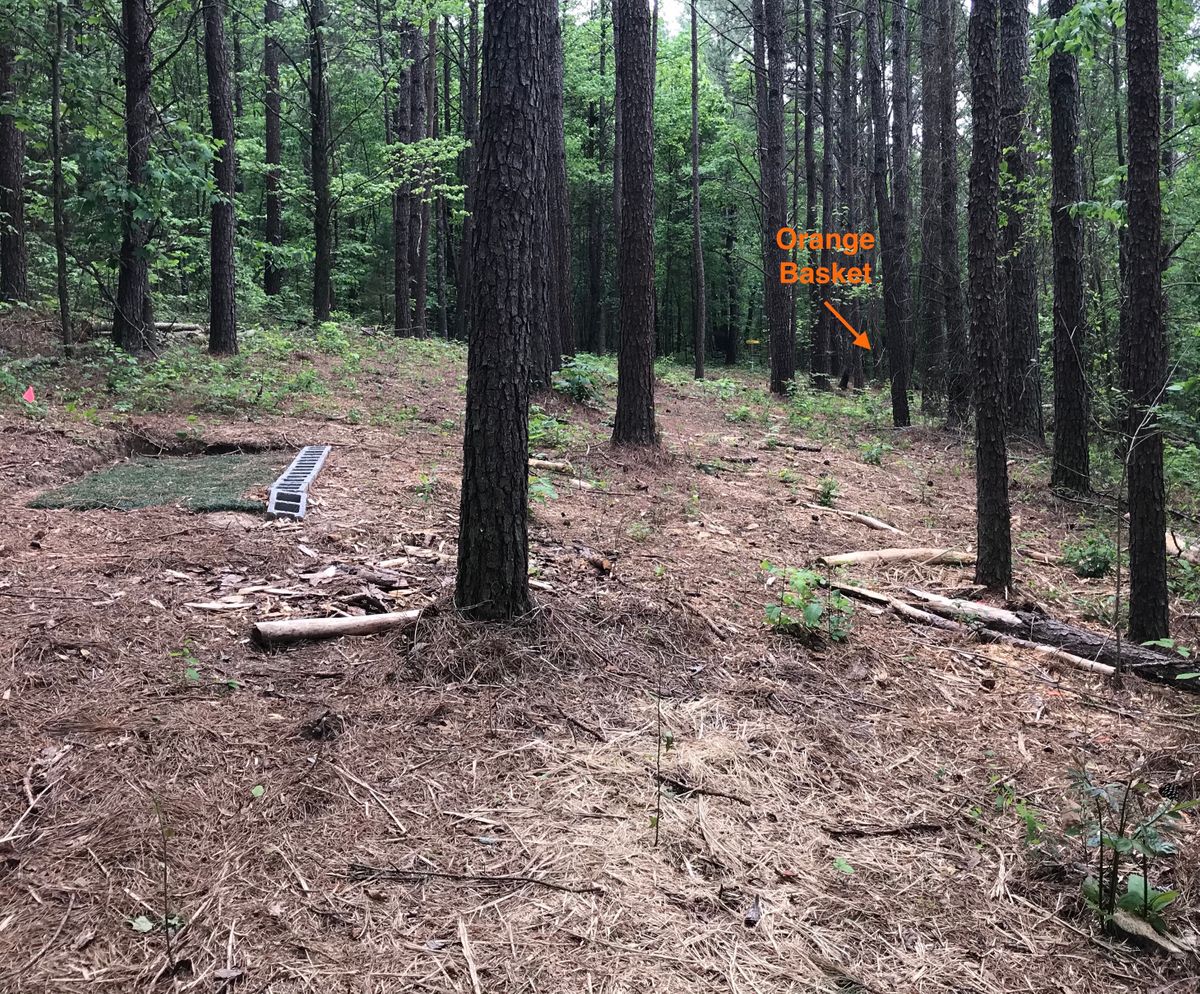 Hole 7 white tee