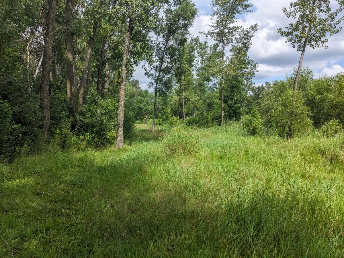 Unusable fairway on hole 8