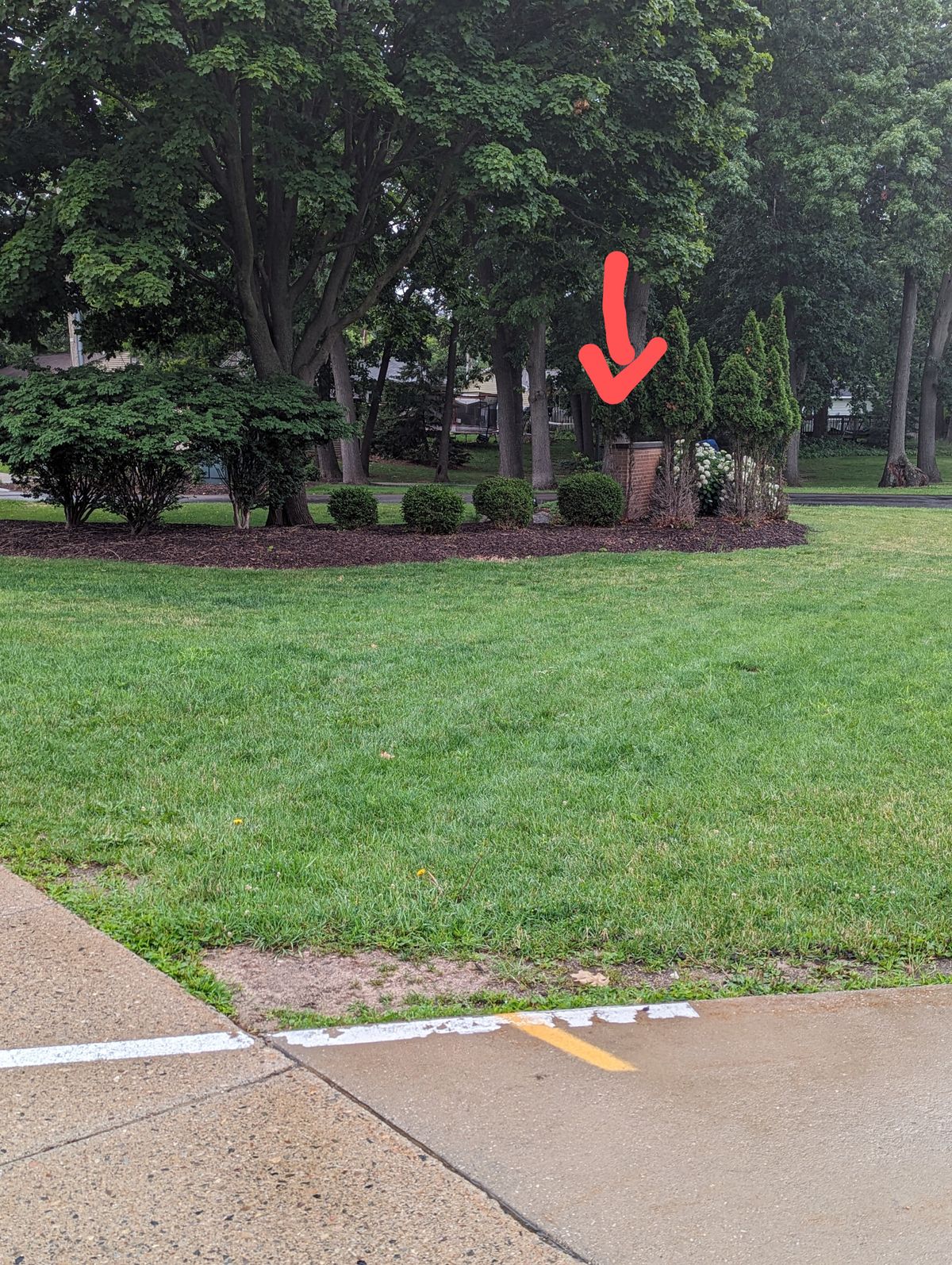 Hole 10 Tee Pad