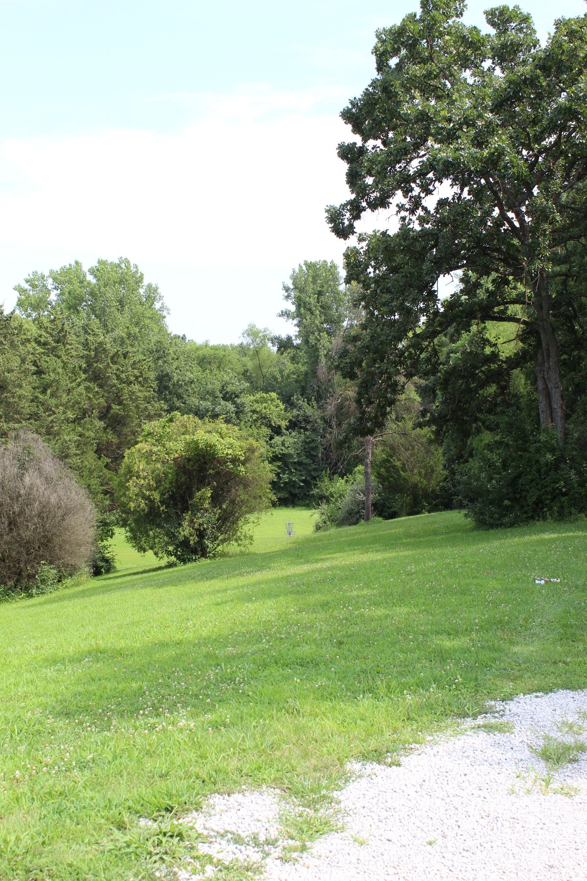 Hole 10 Long (Basket)