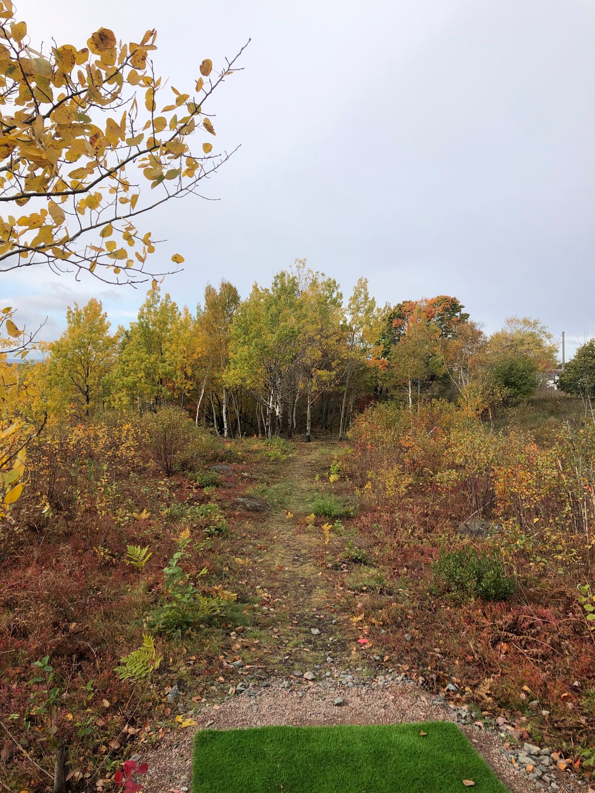 Hole 14 tee oct 20 21