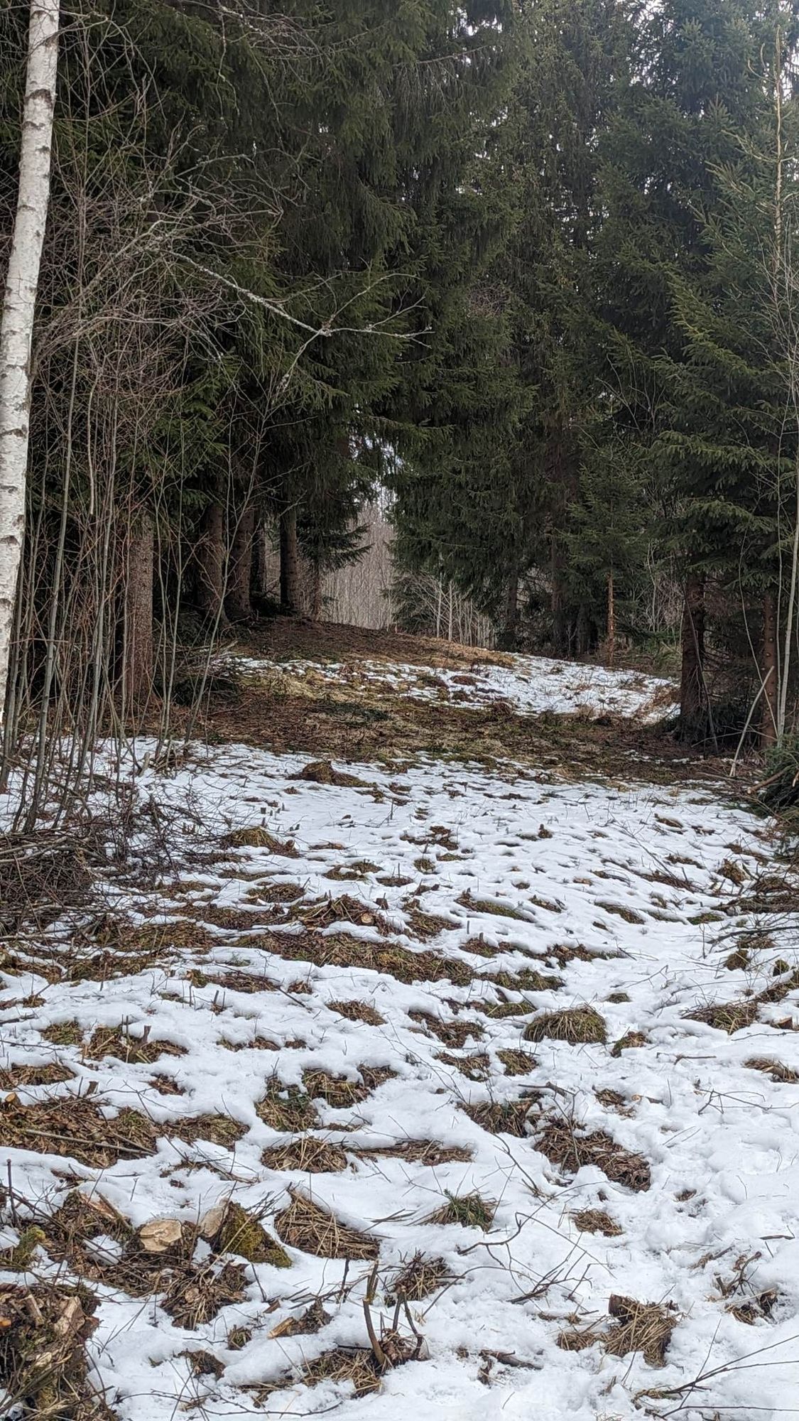 Hål 1, Bäverland
