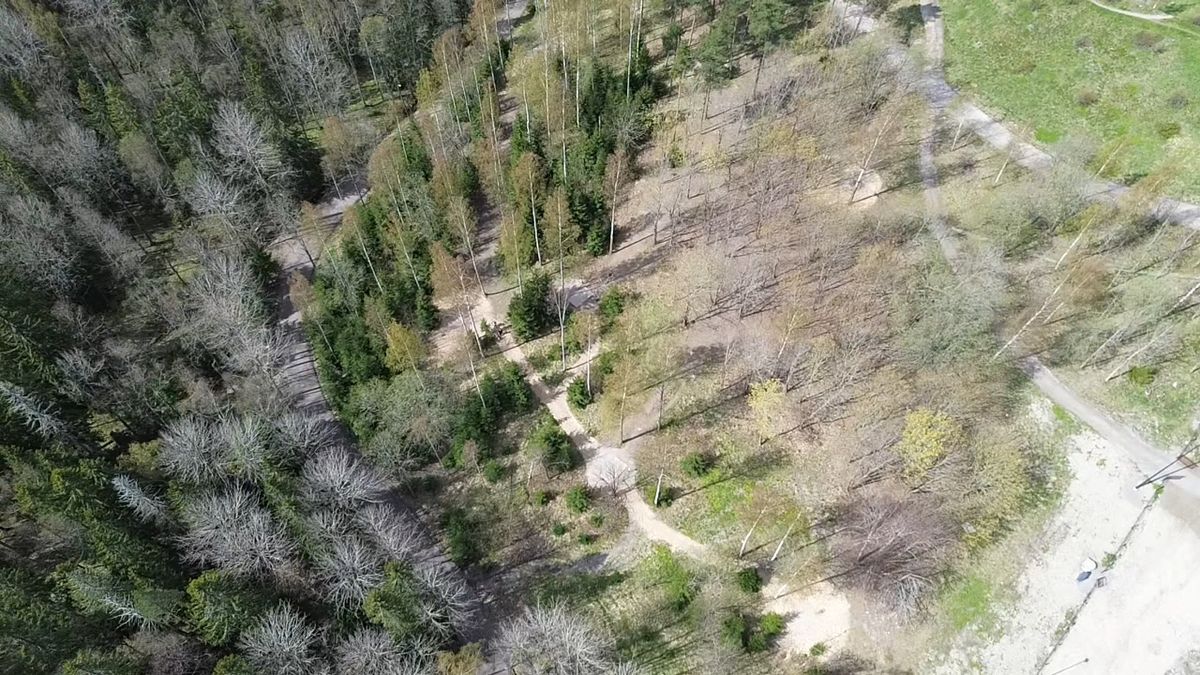Drone kuvia paloheinän friba radalta