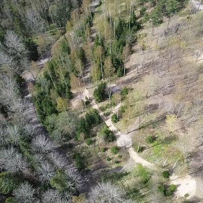 Drone kuvia paloheinän friba radalta