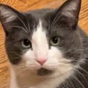 User avatar image