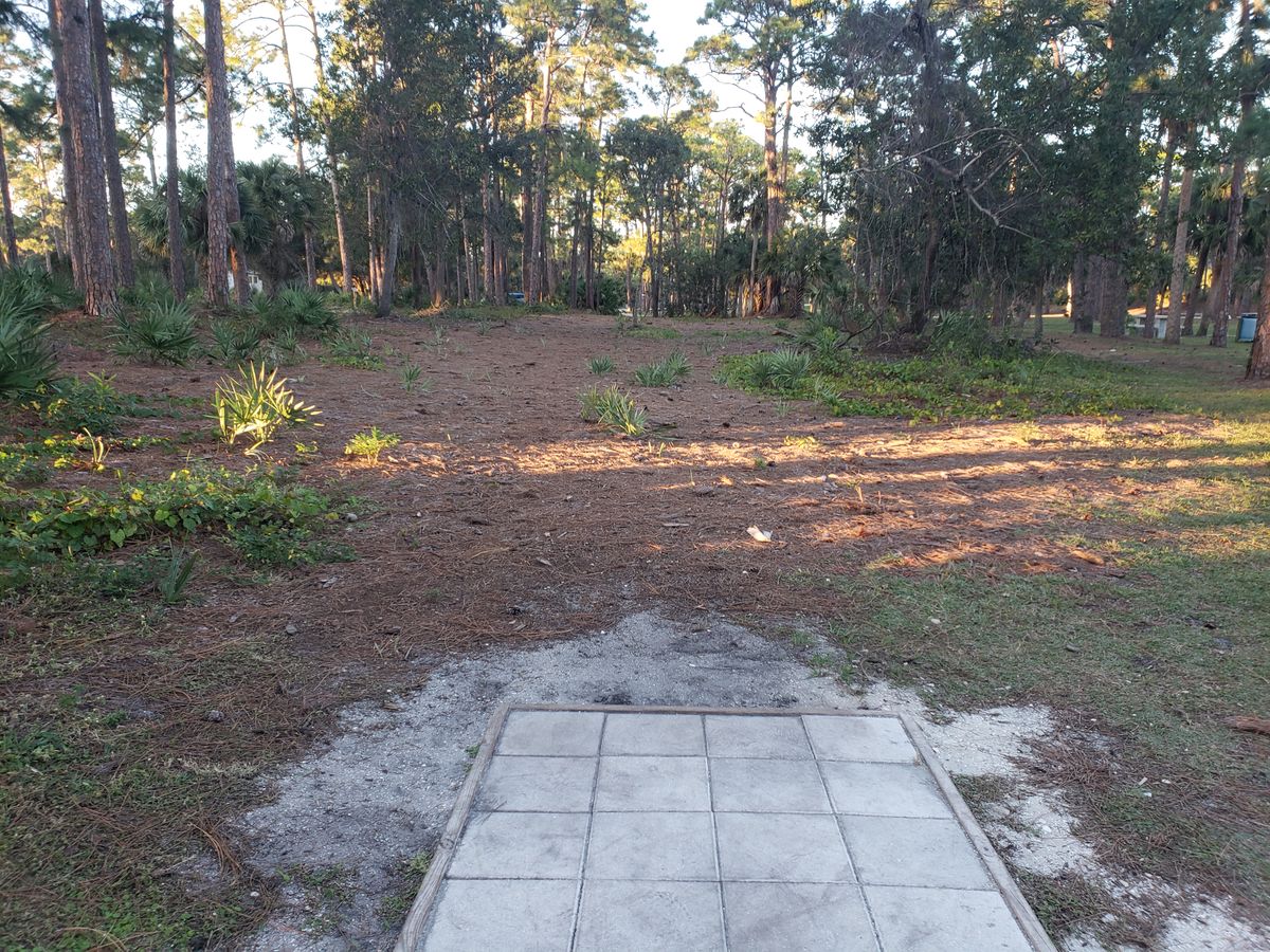 Tee pad 12