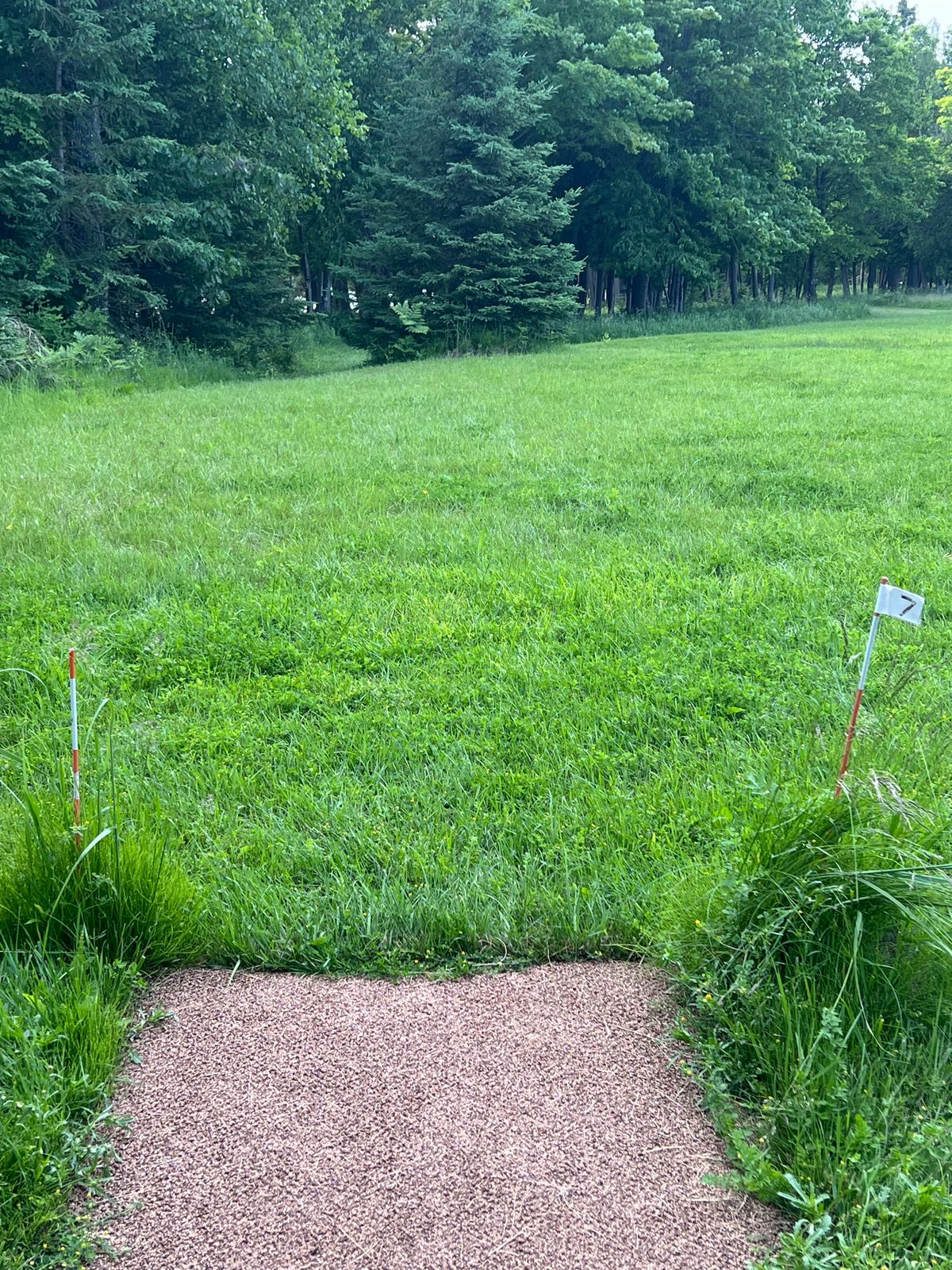 Tee pad 7 - sharp dogleg left, tucked back into the trees, but be mindful of the river. 