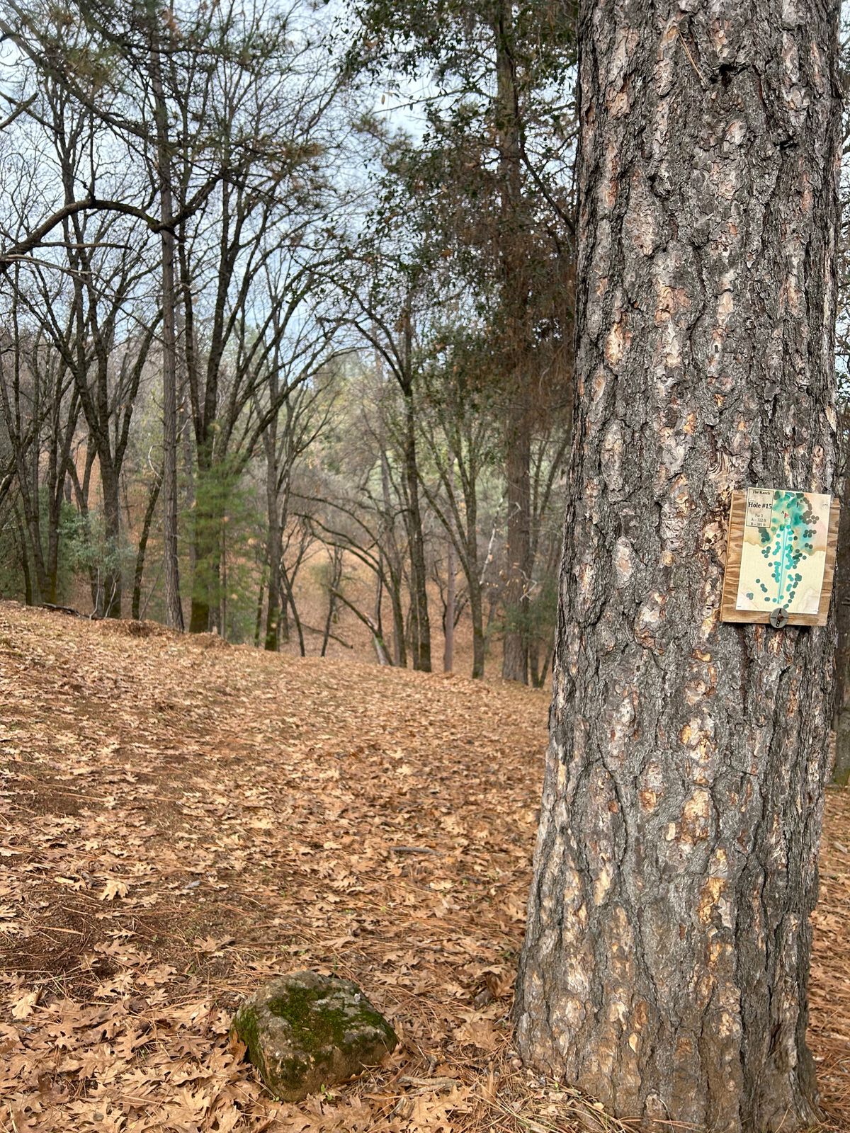 Best hole on the course! 15!!
