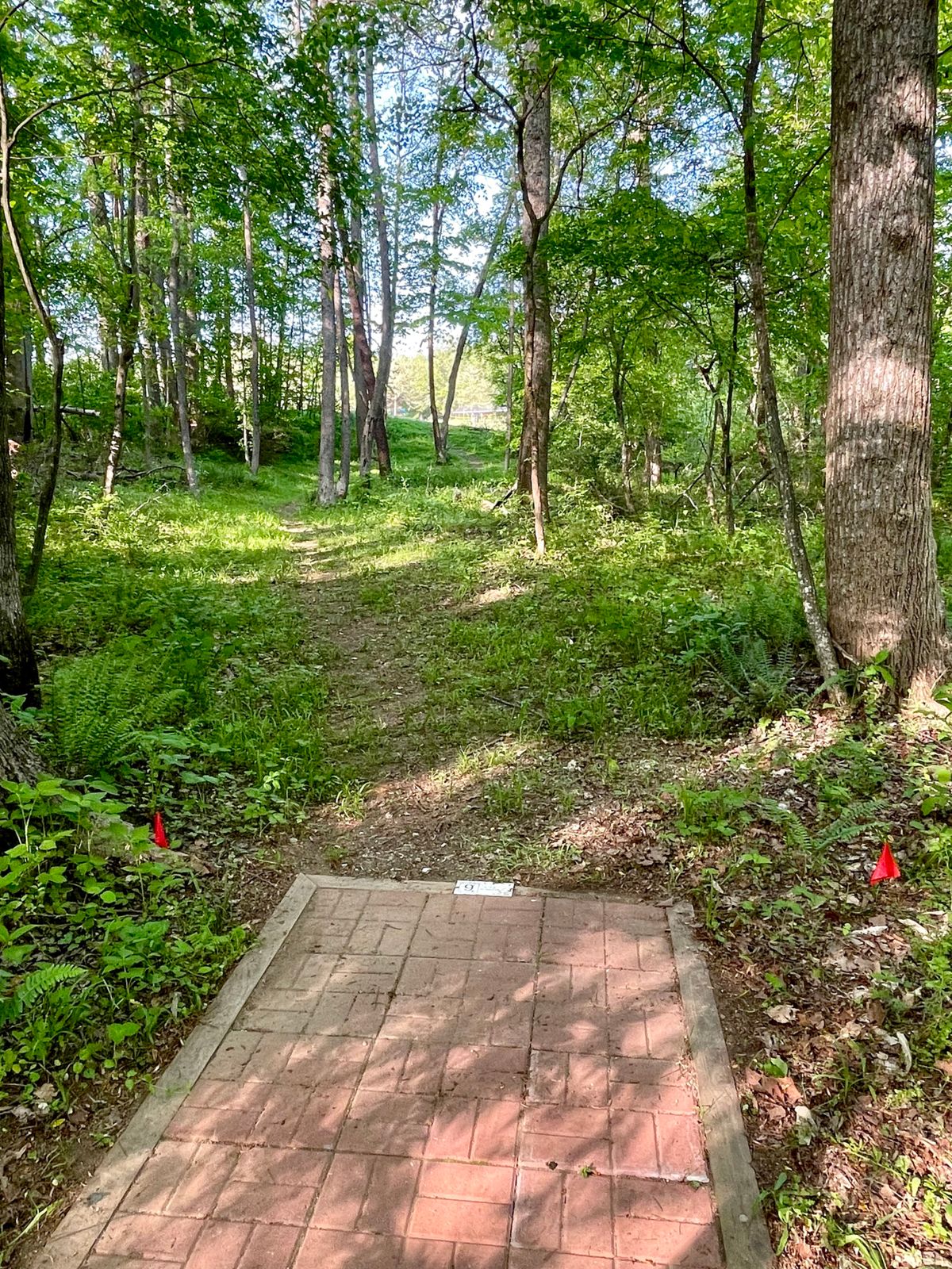 Hole 9 Red