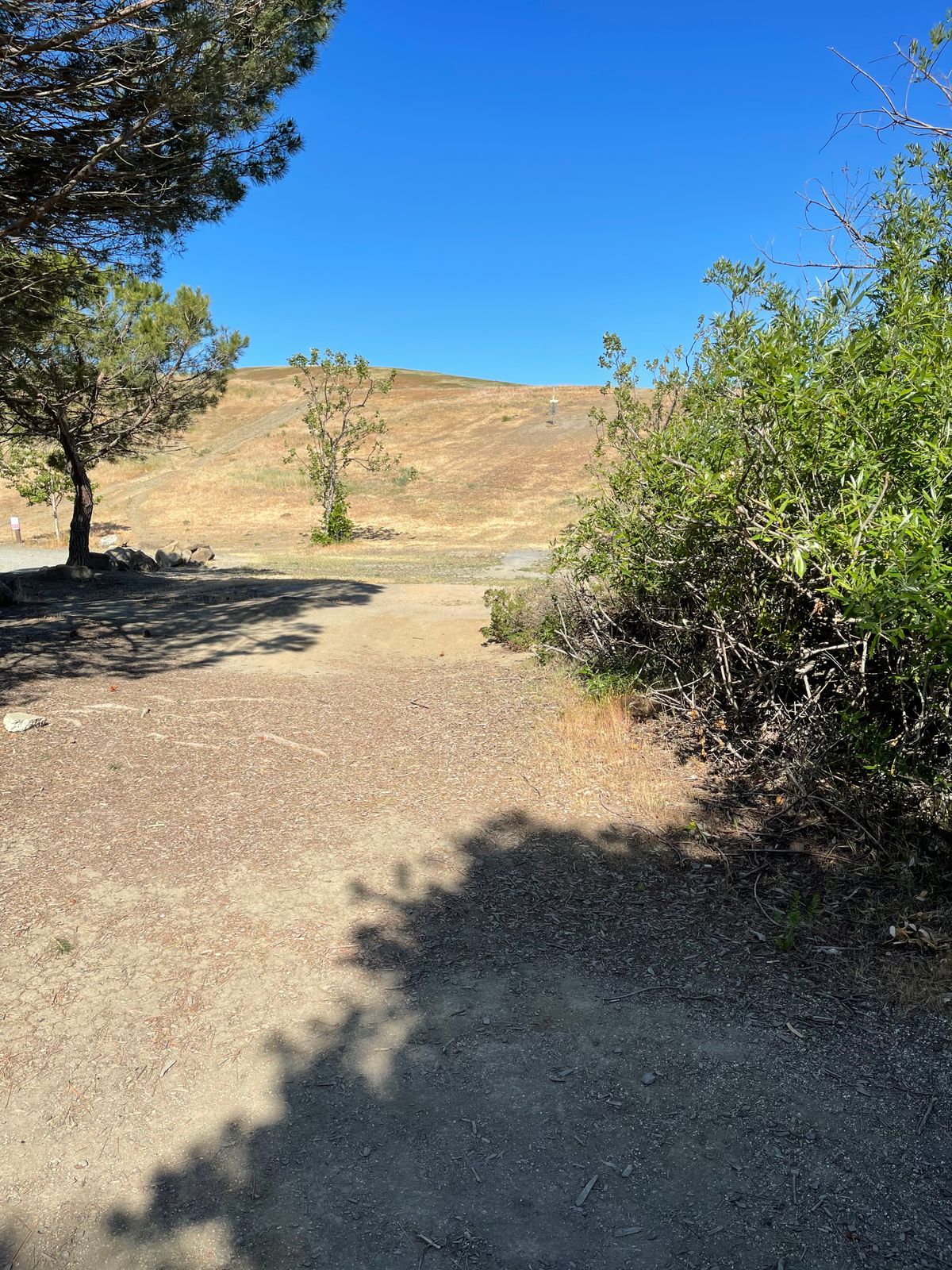 Hole 6