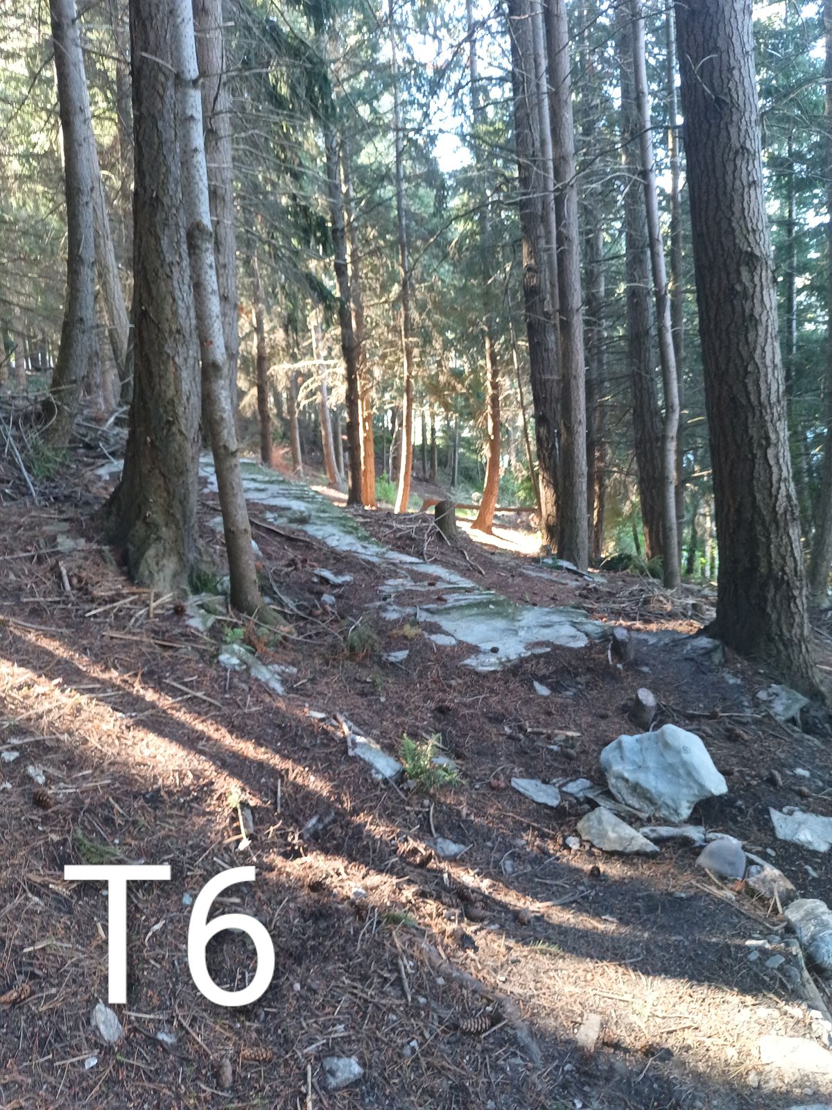 70m throw straight with a finish to the left. Don't go right it's hard to find disc's