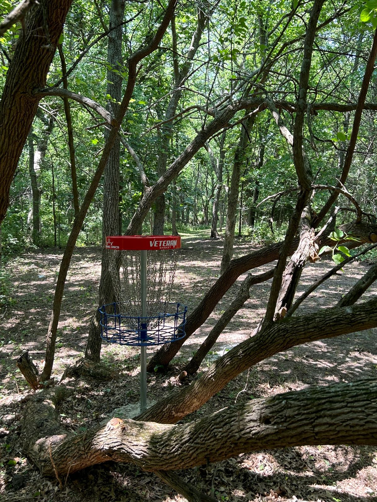 Hole #9 B basket look back through fairway