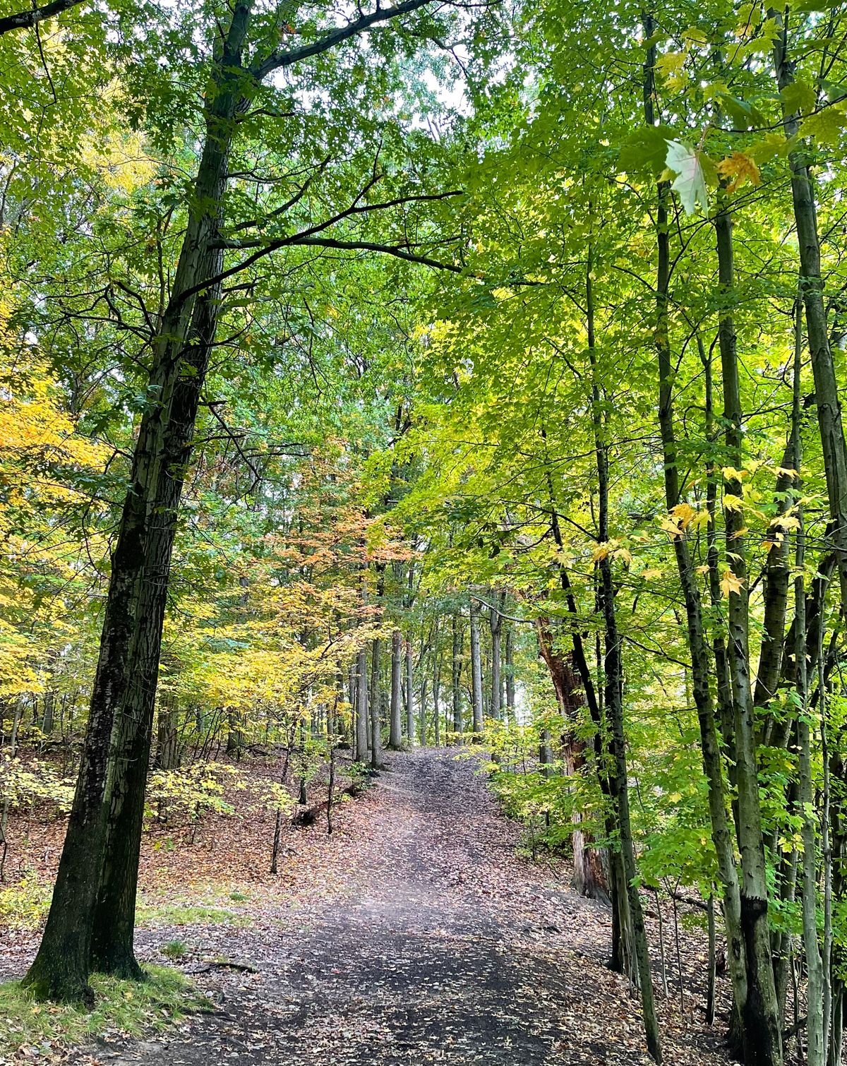 Narrow fairway