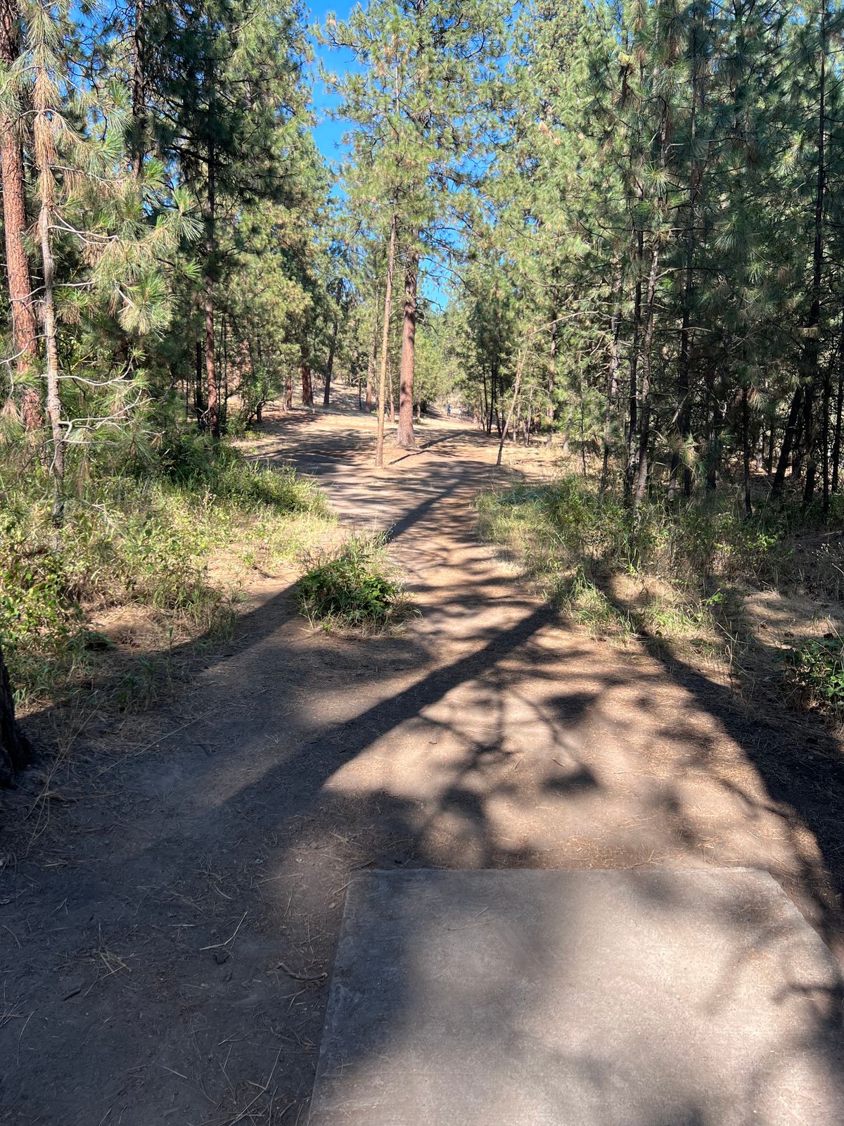Hole 7 tee box