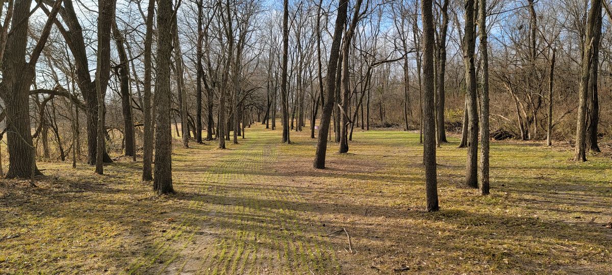 #9 looking back towards the tee