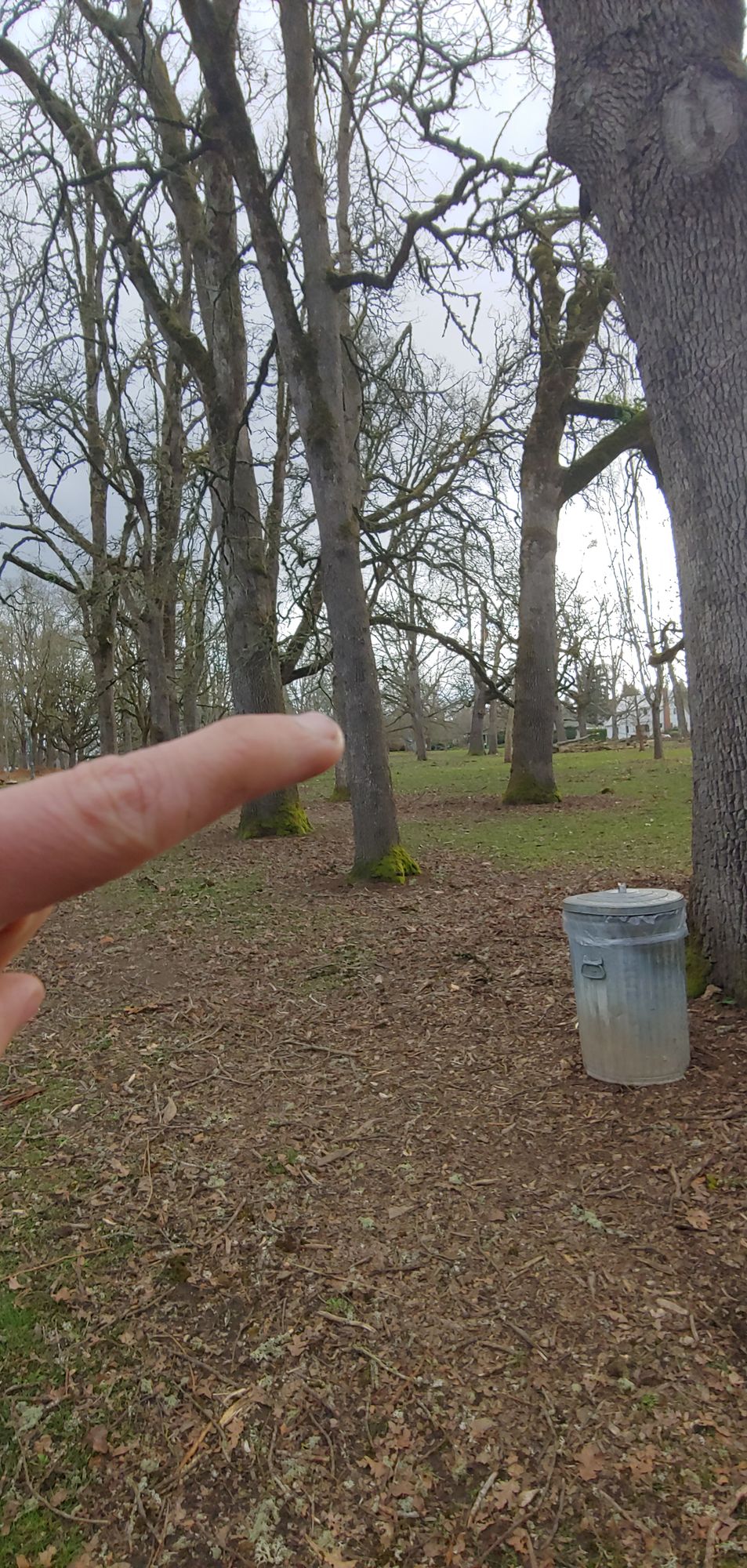 Hole 4