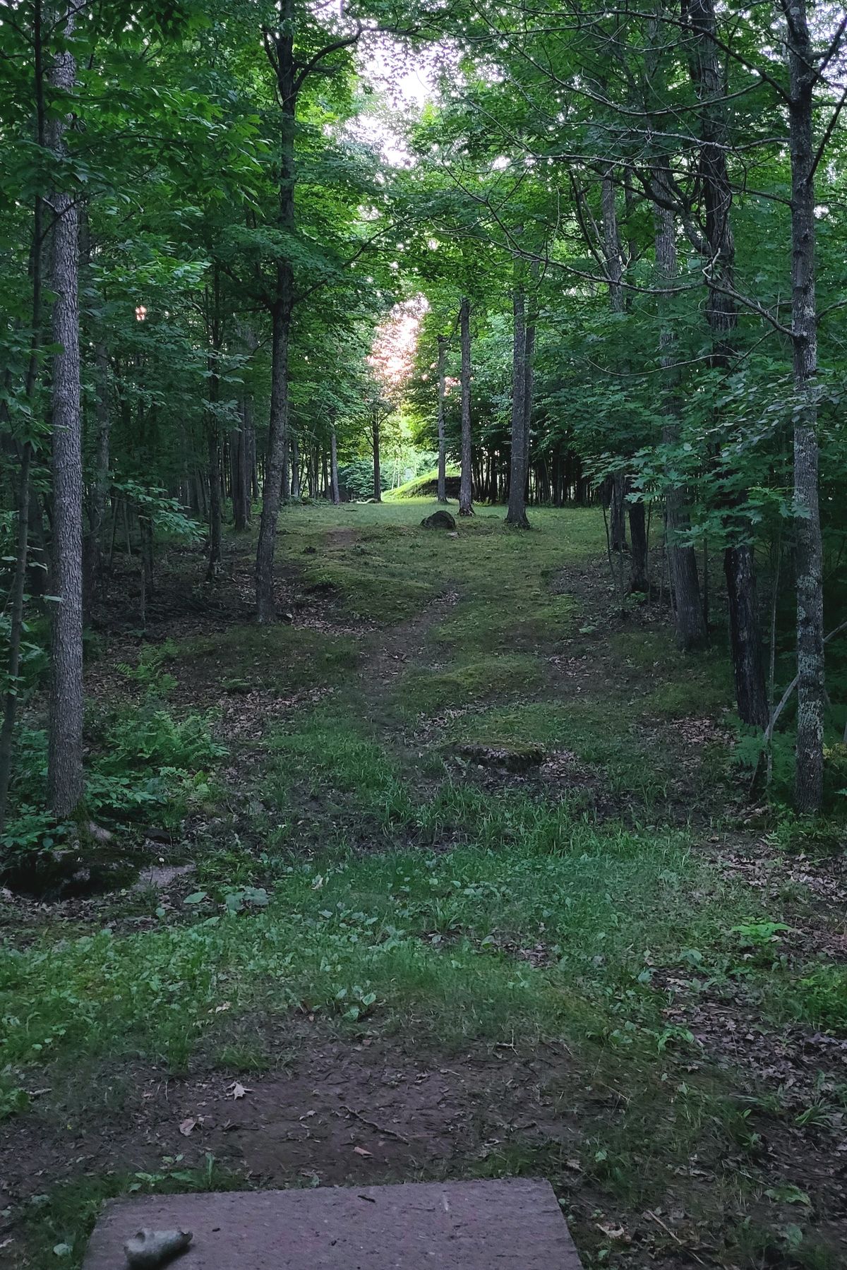 Hole 13 tee