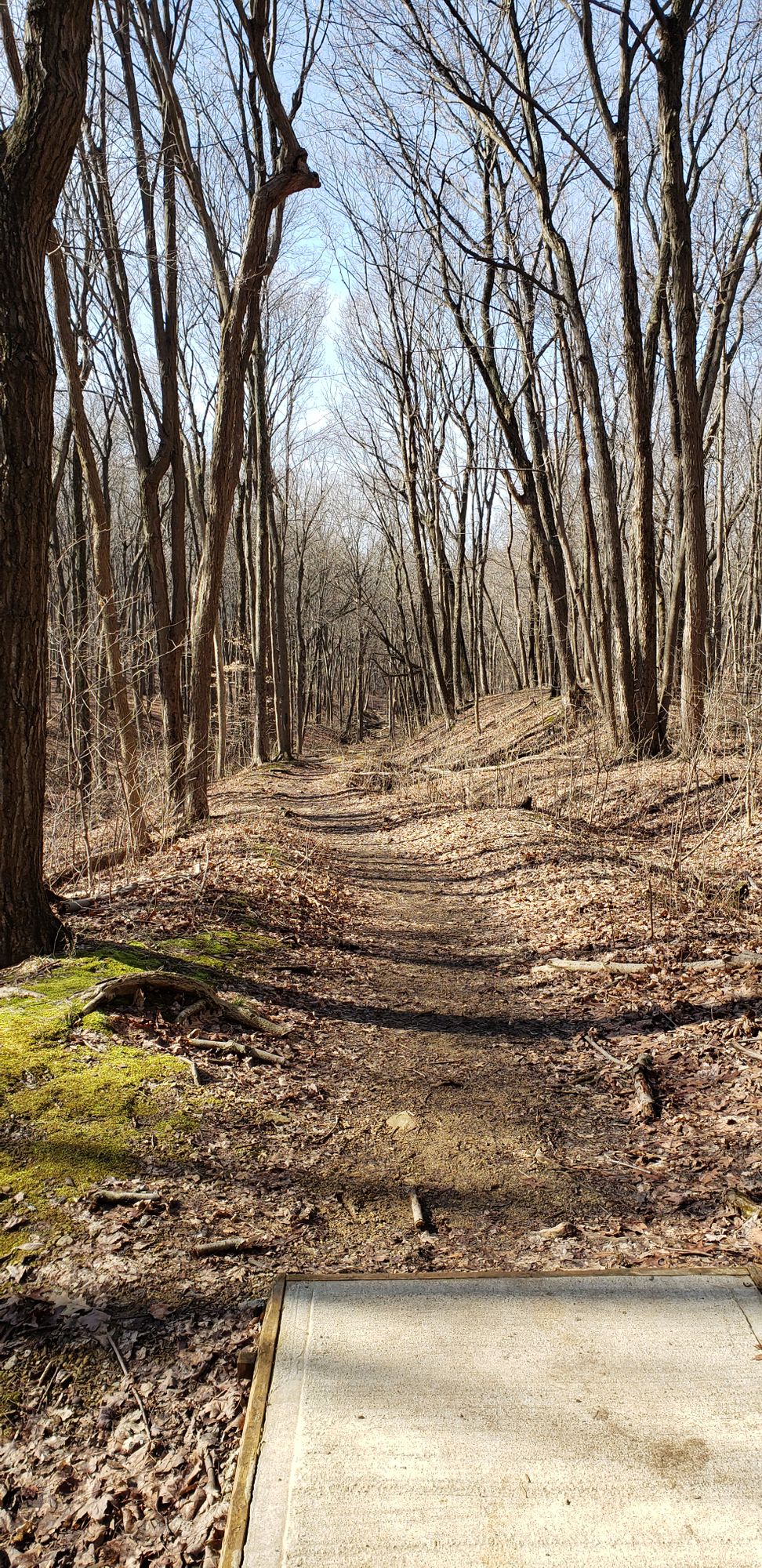 Hole 6