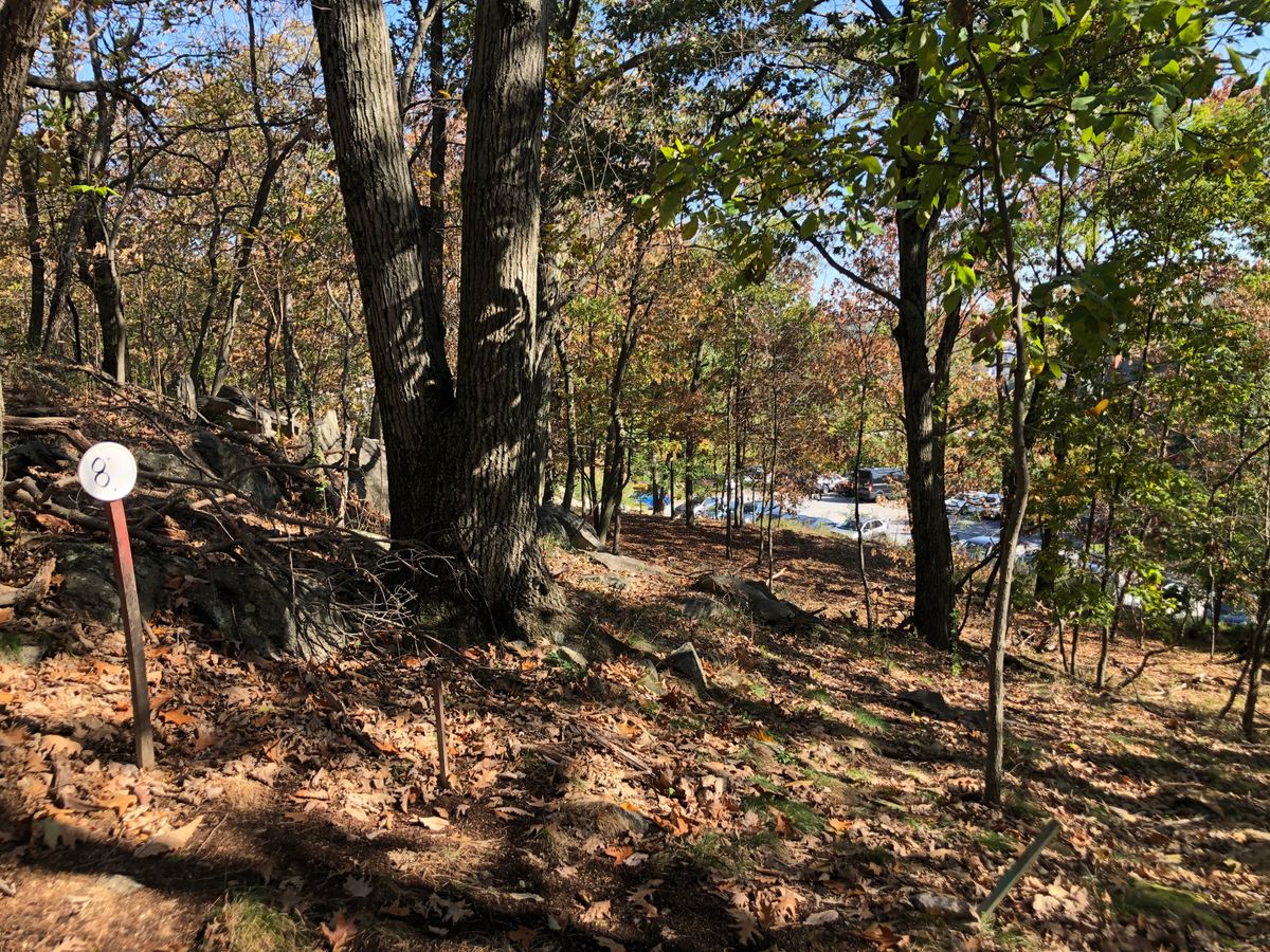 Hole #8 (141’)