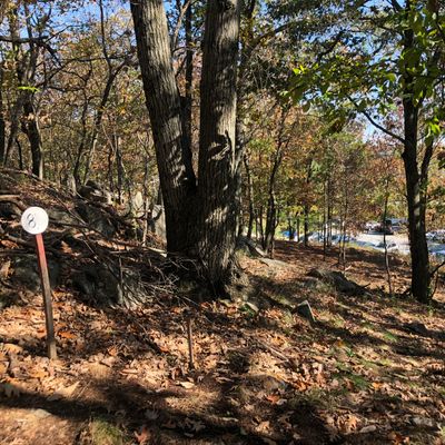 Hole #8 (141’)