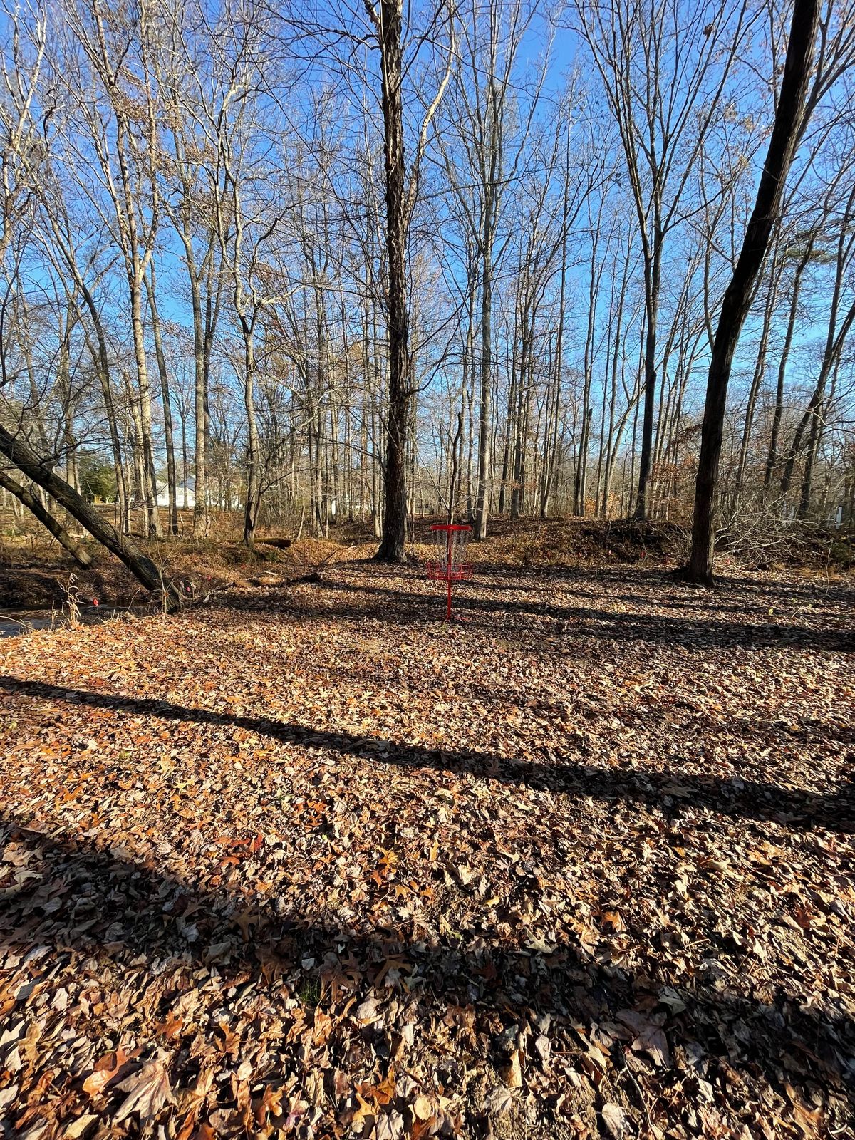Hole 7 ⭕️