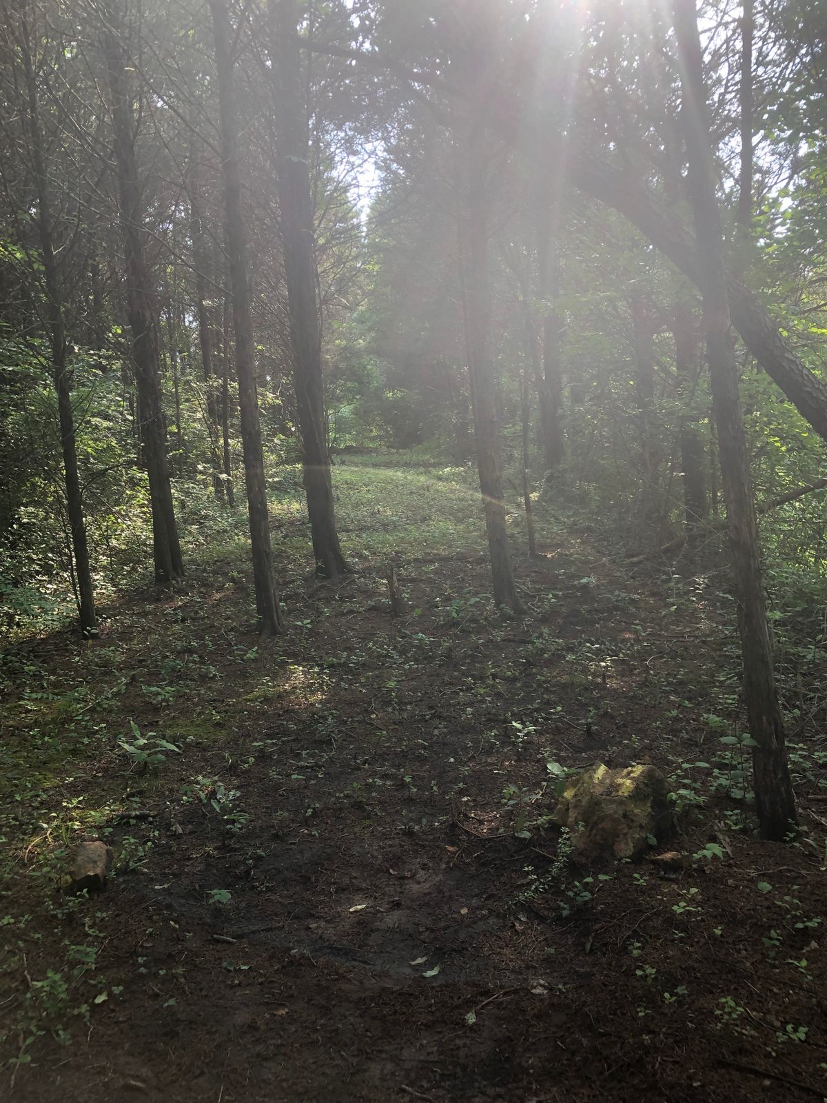 Hole 3