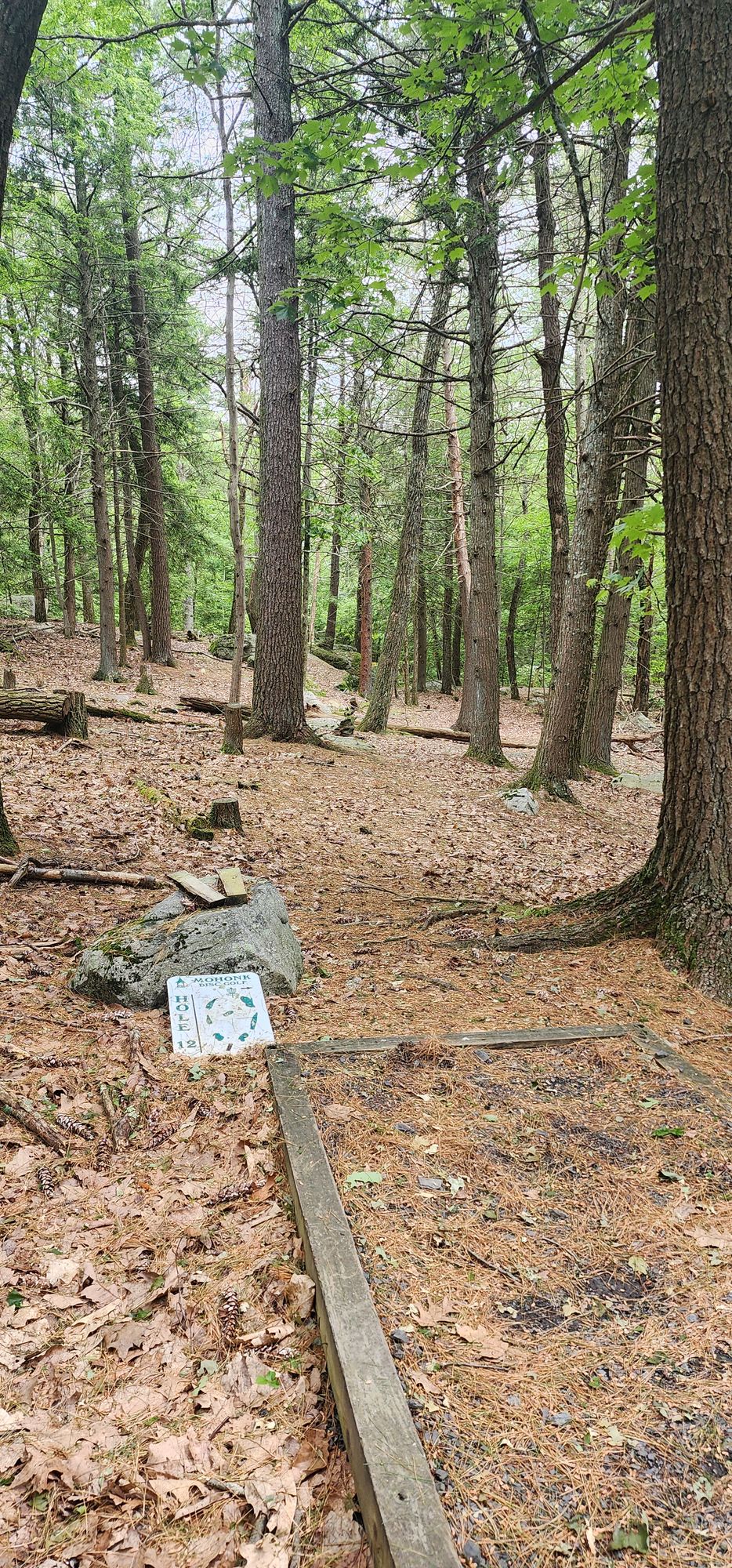 Hole 12