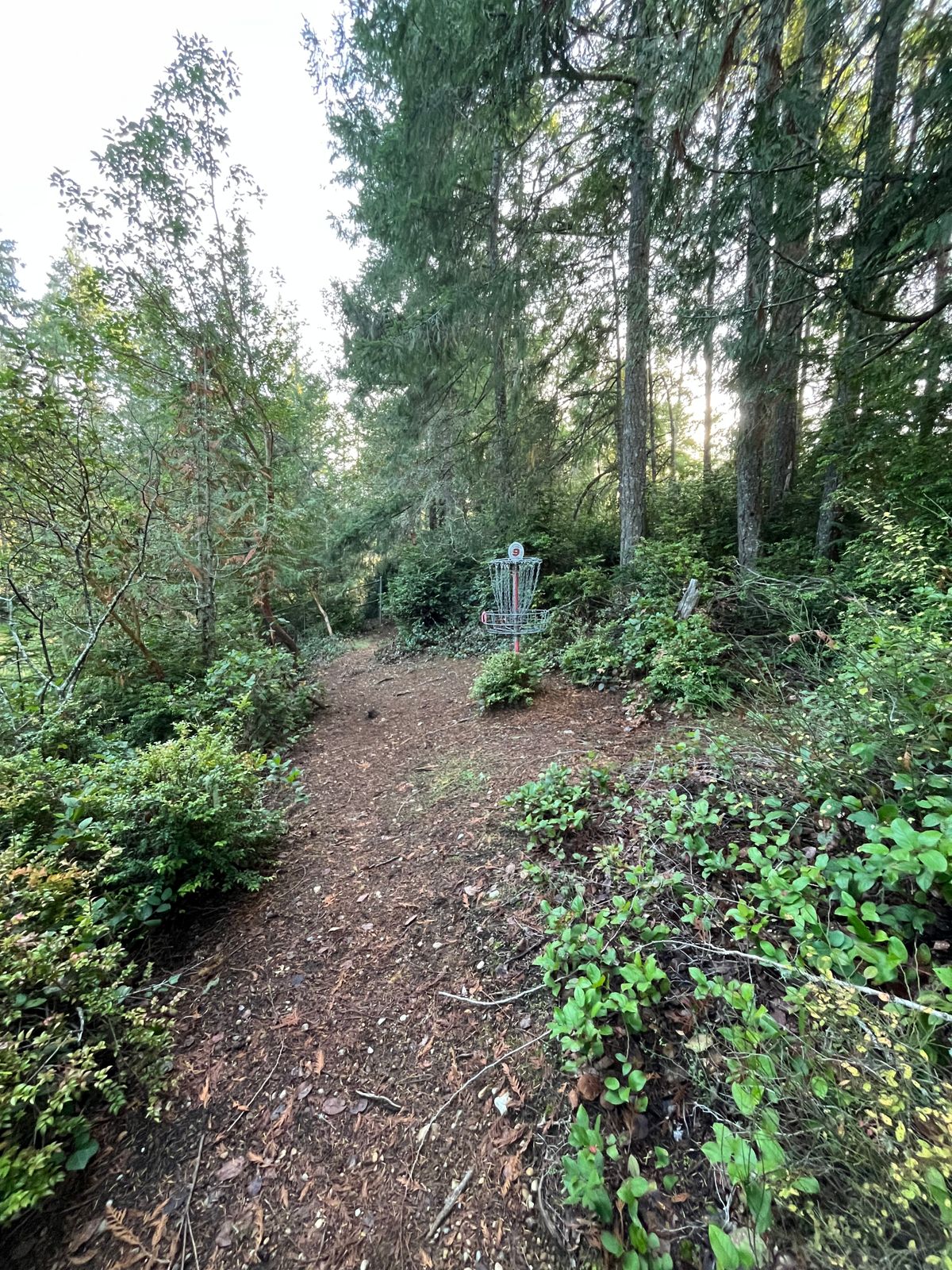 Green of Hole 9