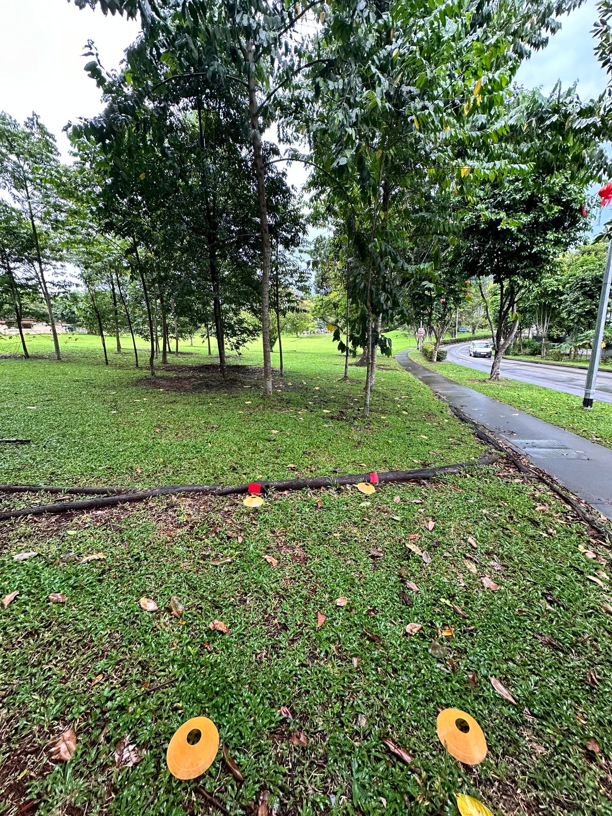 Hole 4 Teepad