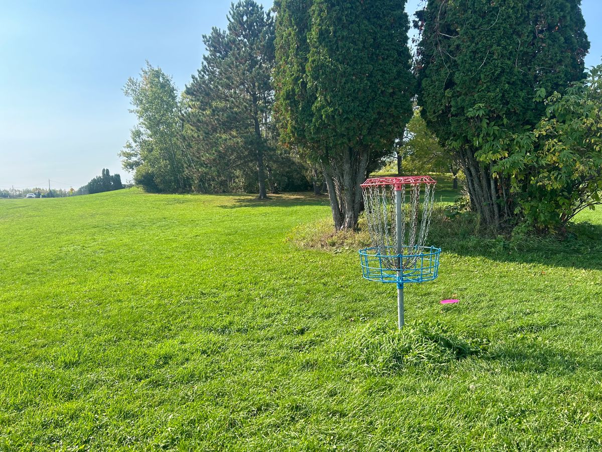 Hole 3 basket