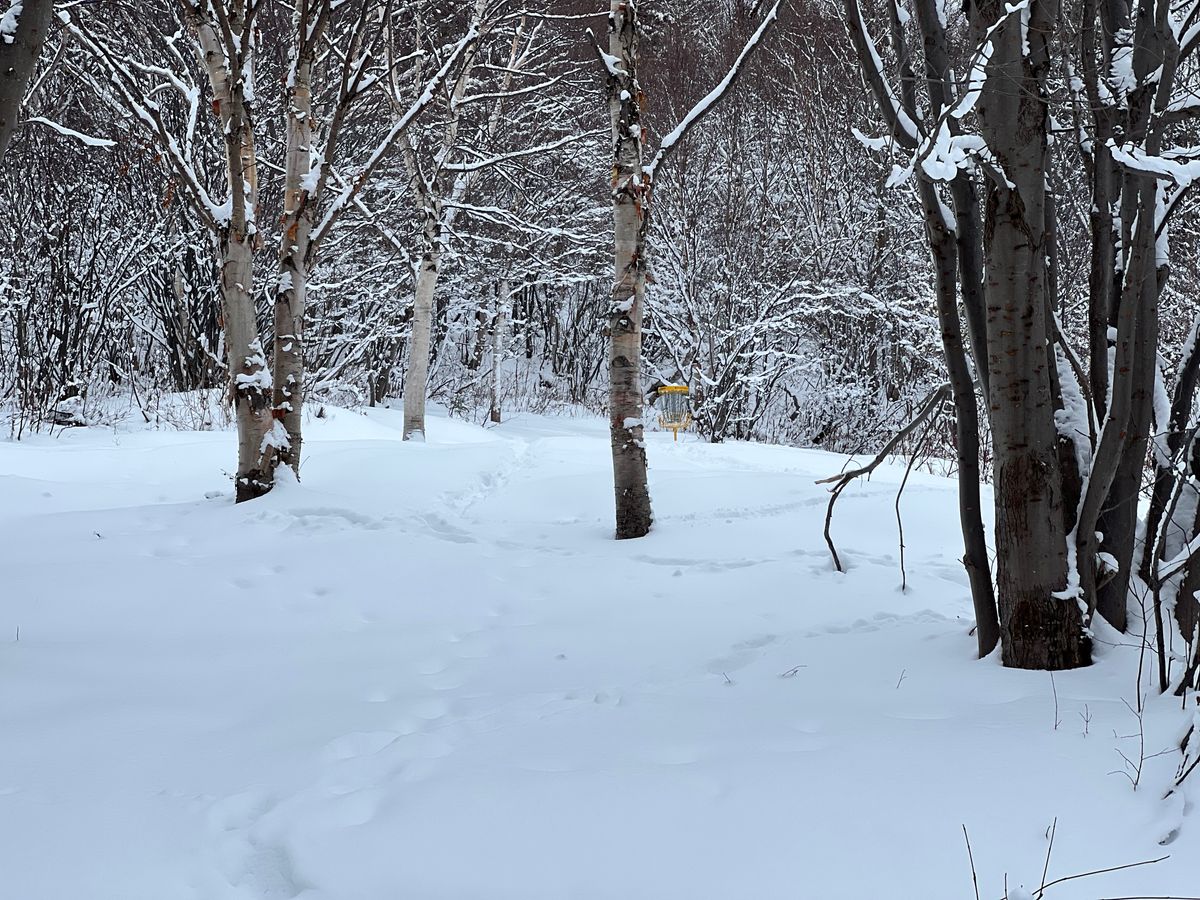 Hole 1