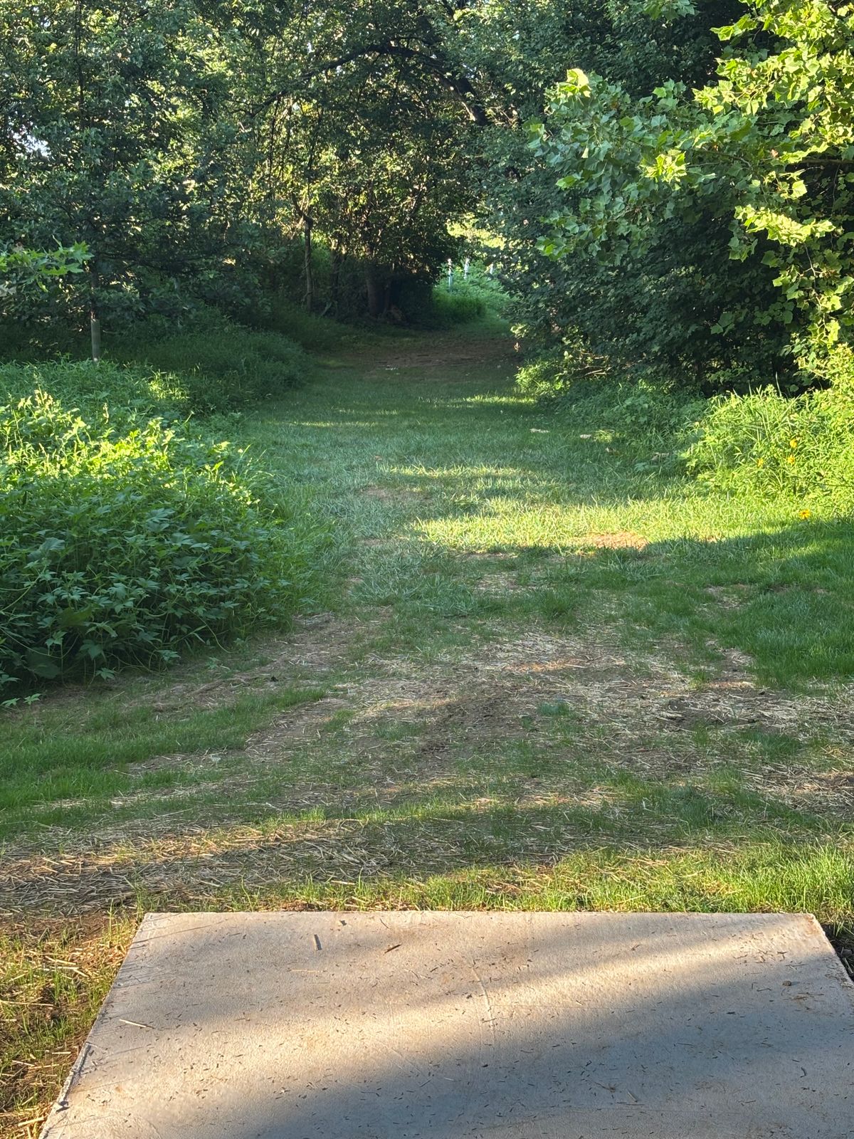 Tee #6 went from alley to tunnel