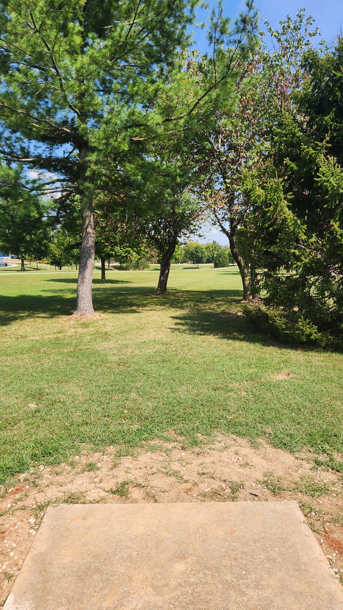 Hole 15 Tee