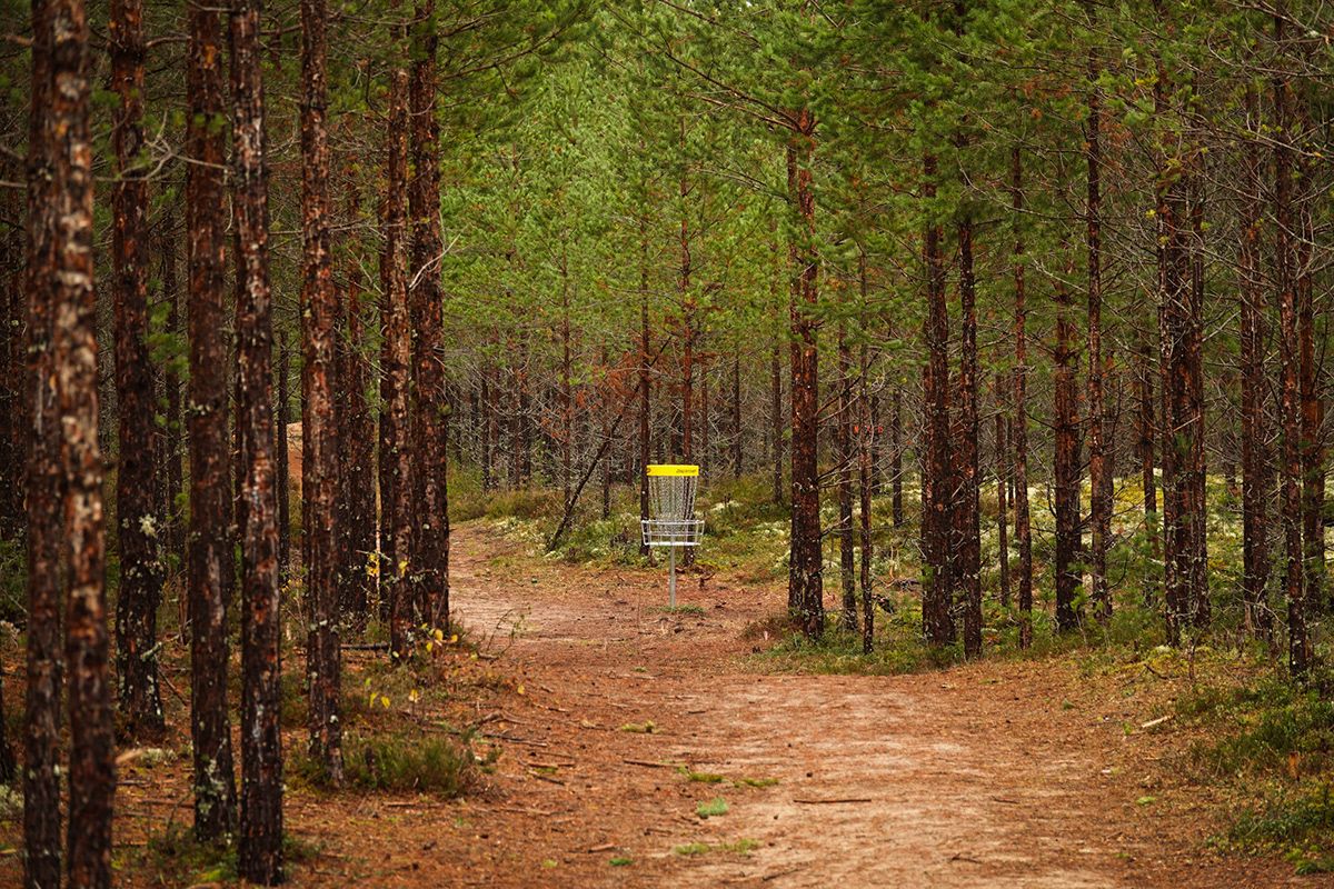 Basket hole 14