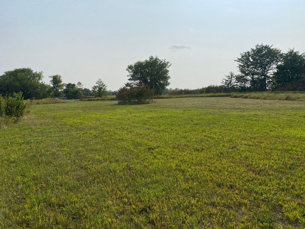 Hole 3 expansion 8/2021
