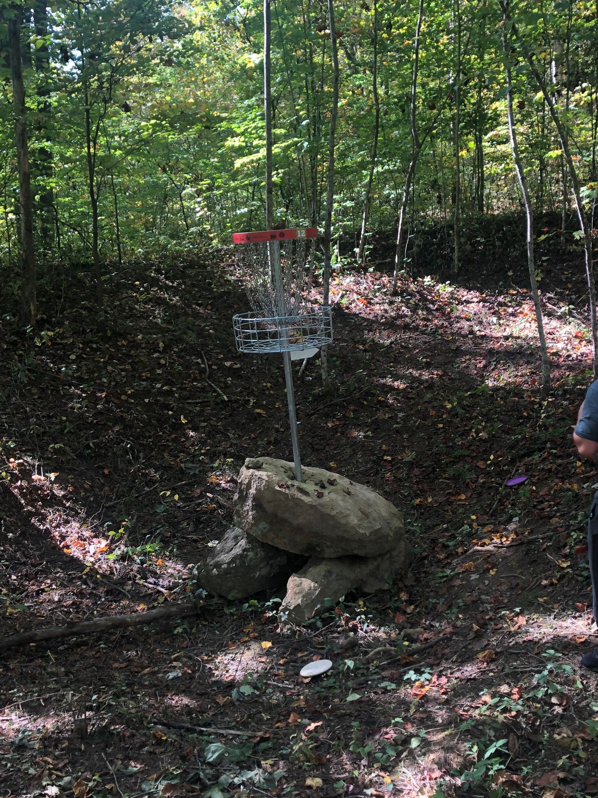 Hole 12’s basket