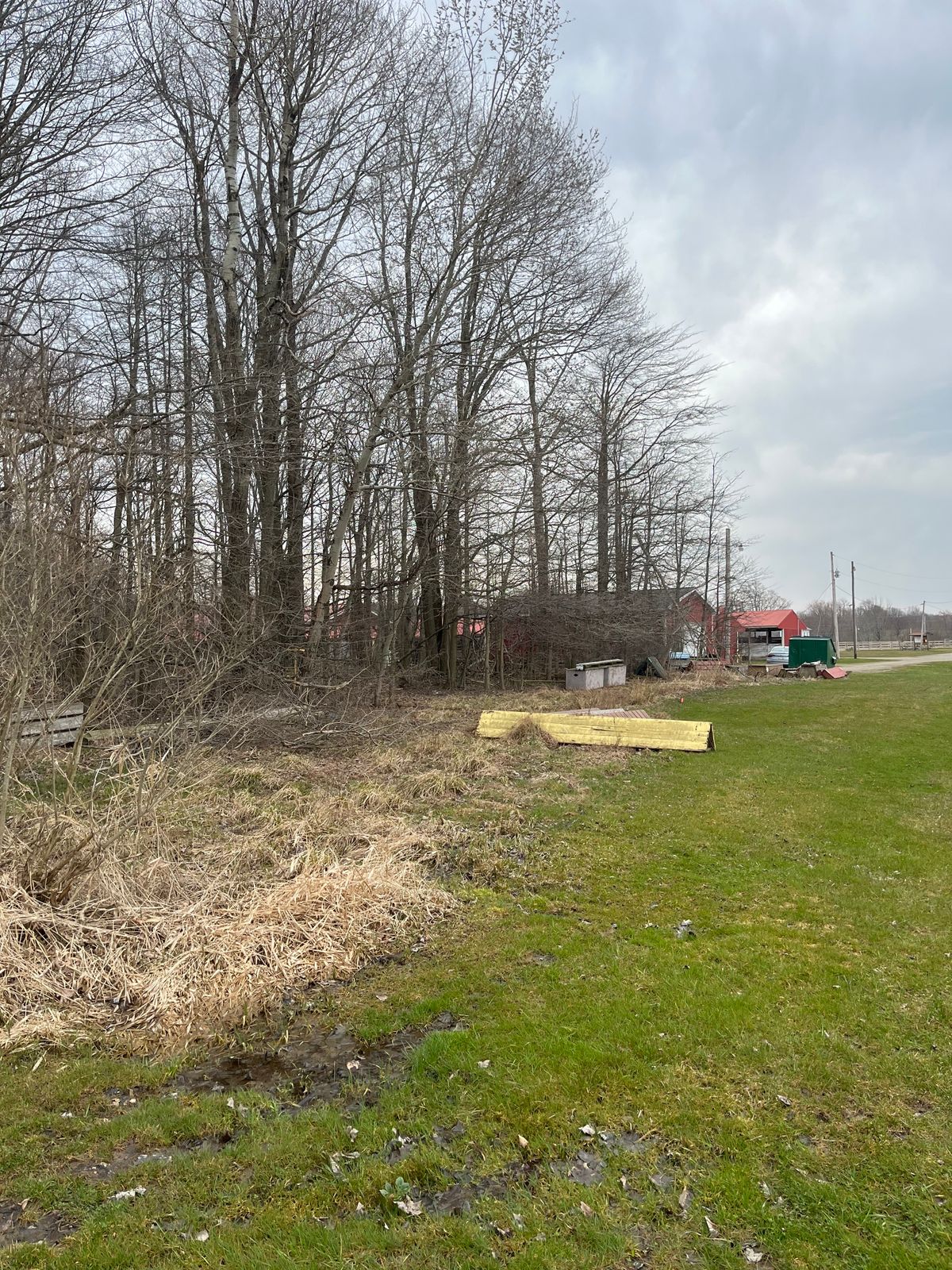 Hole 8 basket