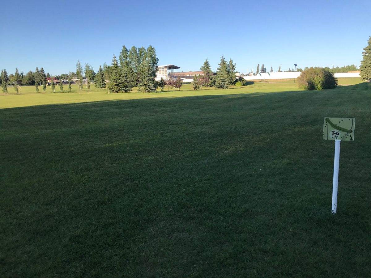 Hole 6 tee pad