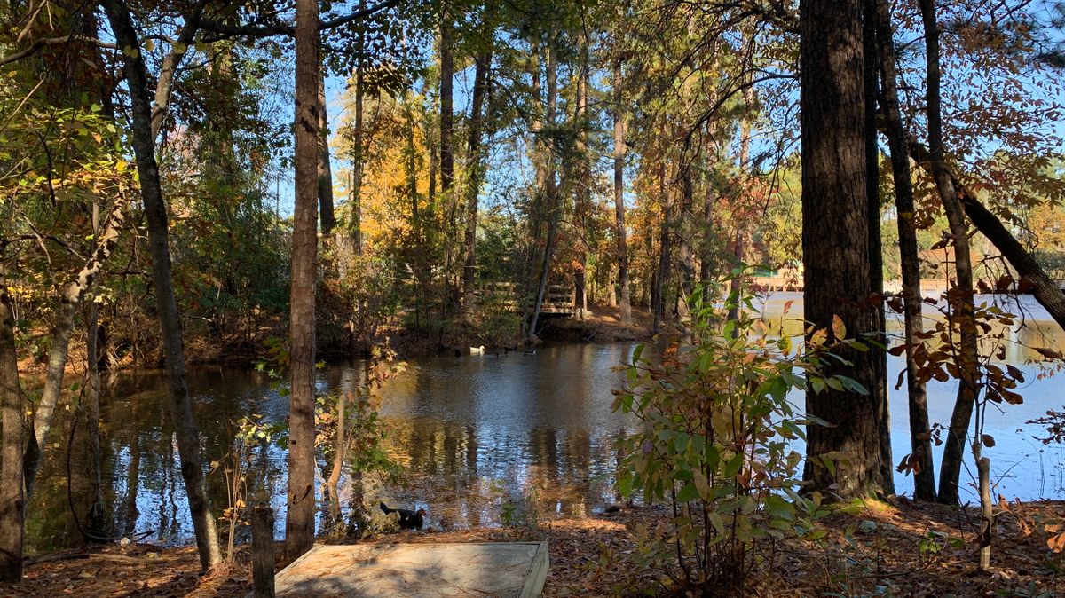 Hole 15