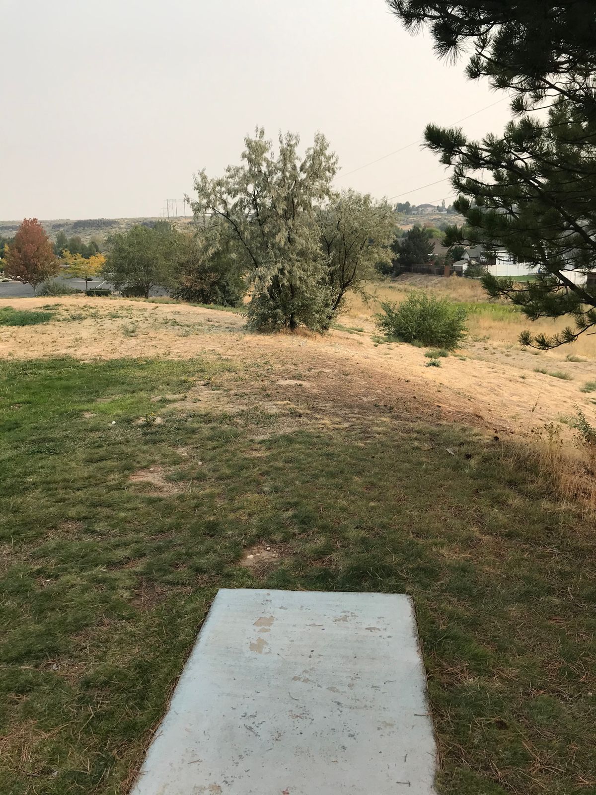 Hole 2: Basket is behind the closest tree (very short hole)