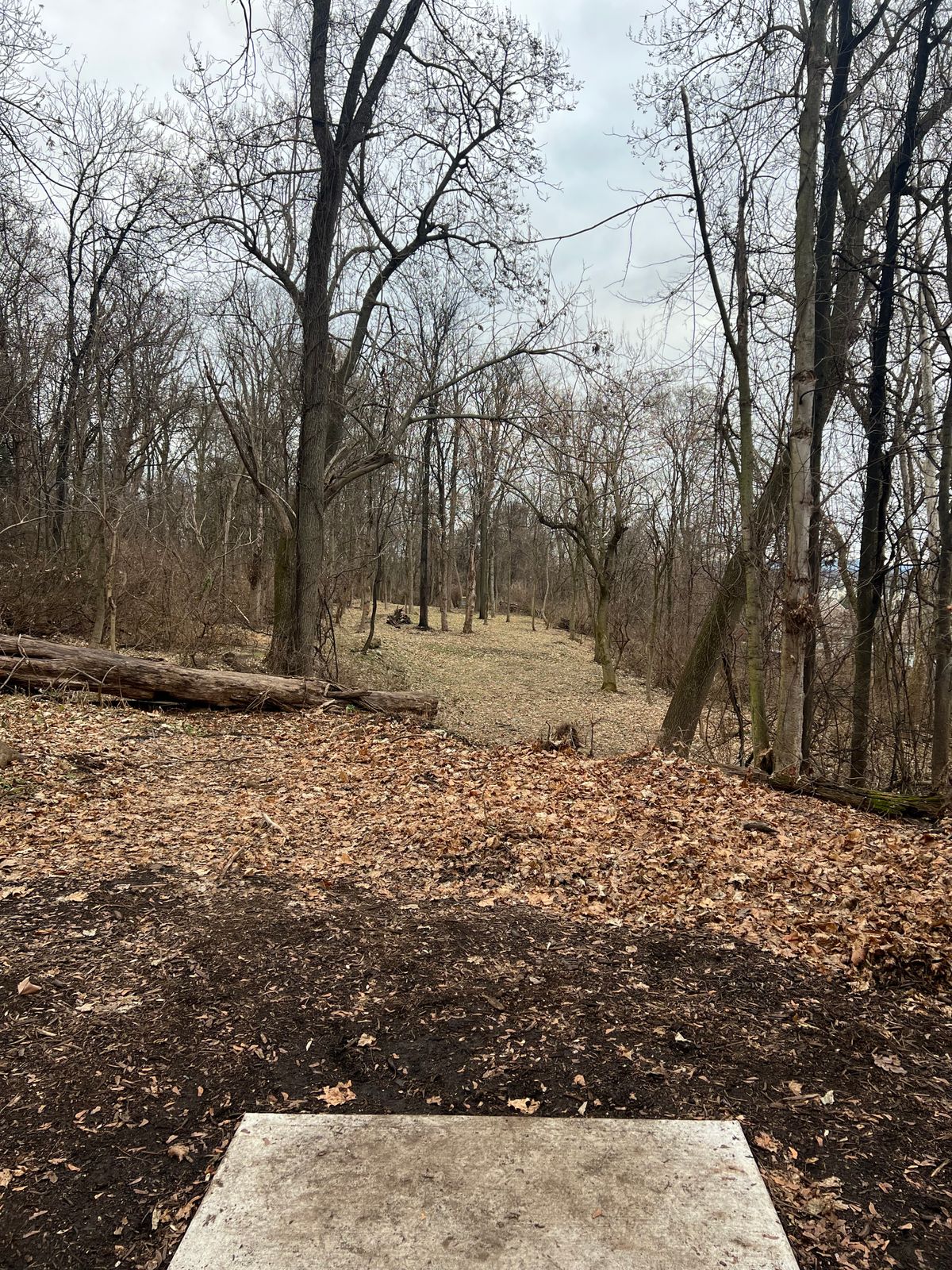 Hole 16s fairway
