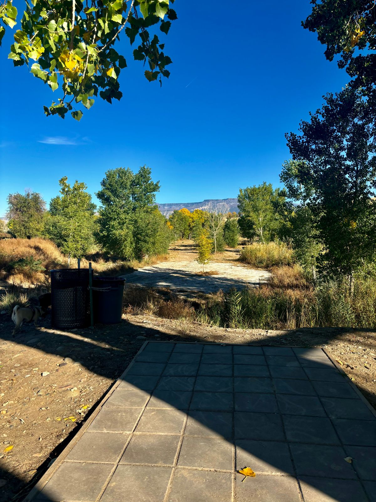 Hole 1 tee